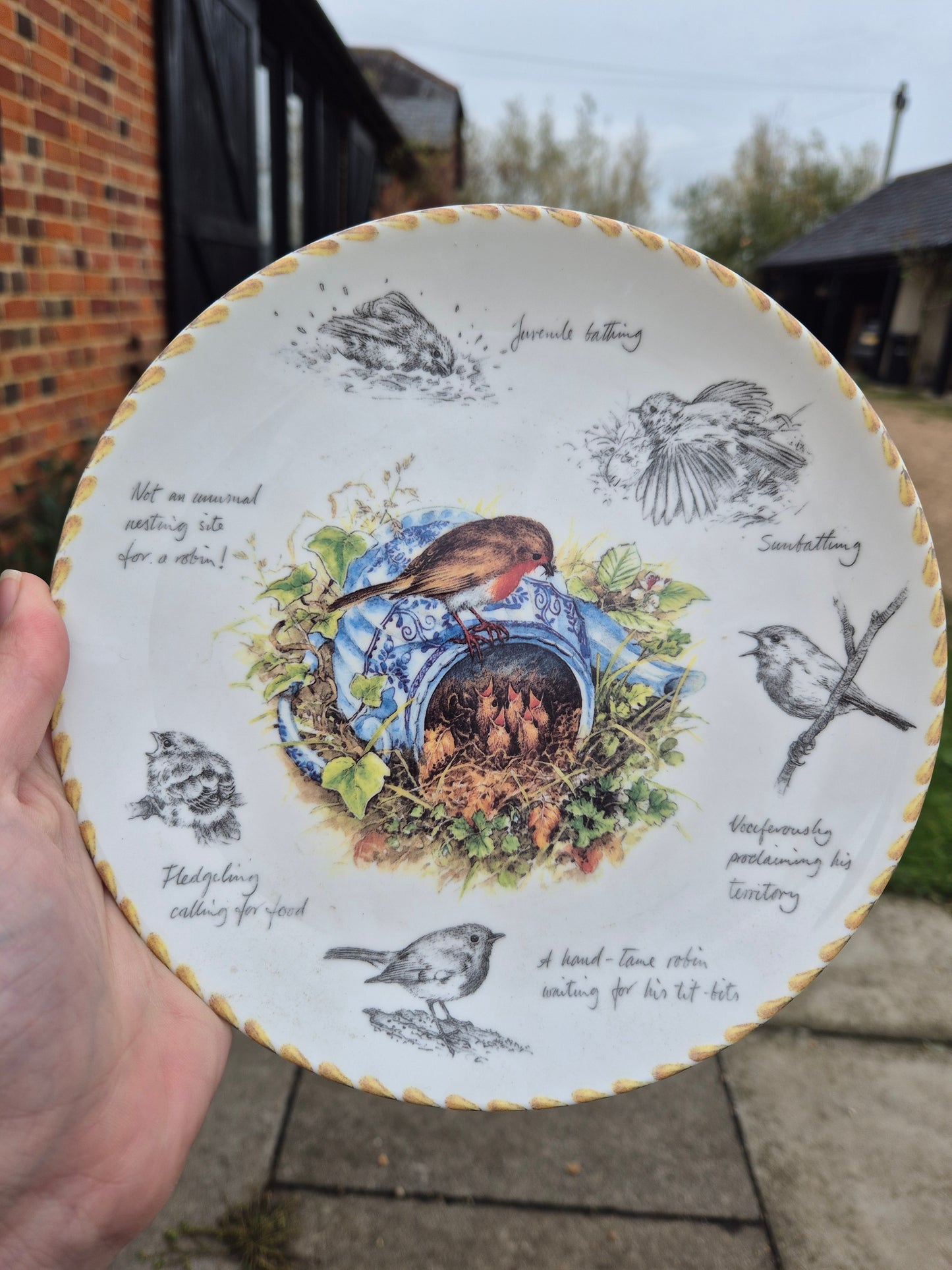 Robins plate
