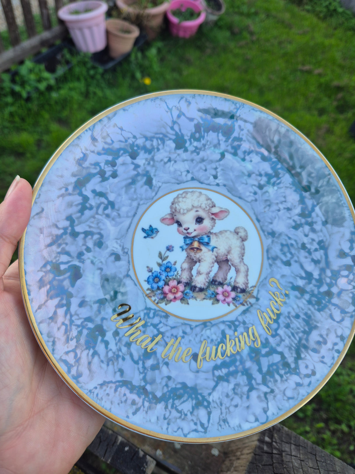 What the fucking fuck? Lamb plate