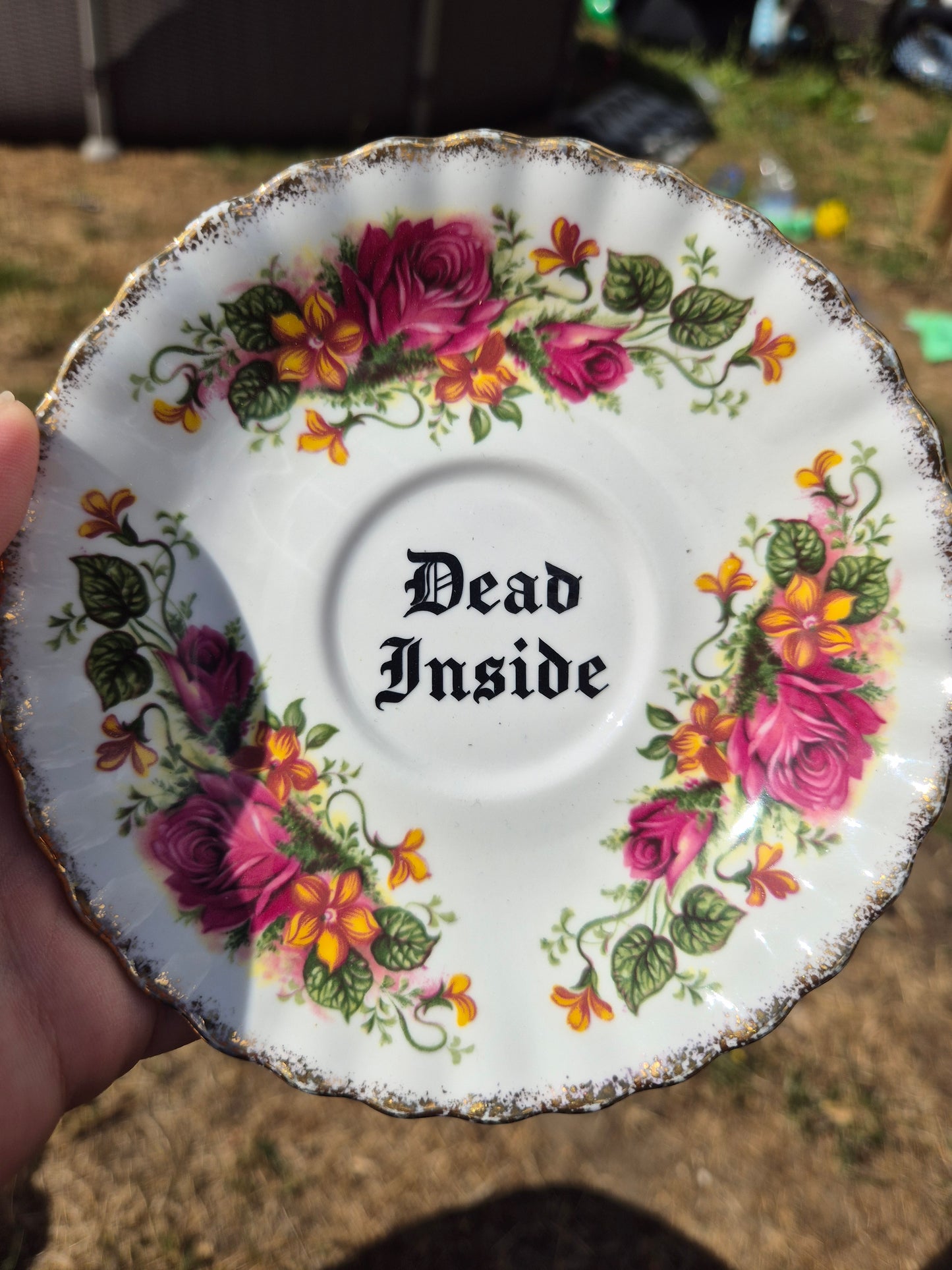 Dead inside saucer