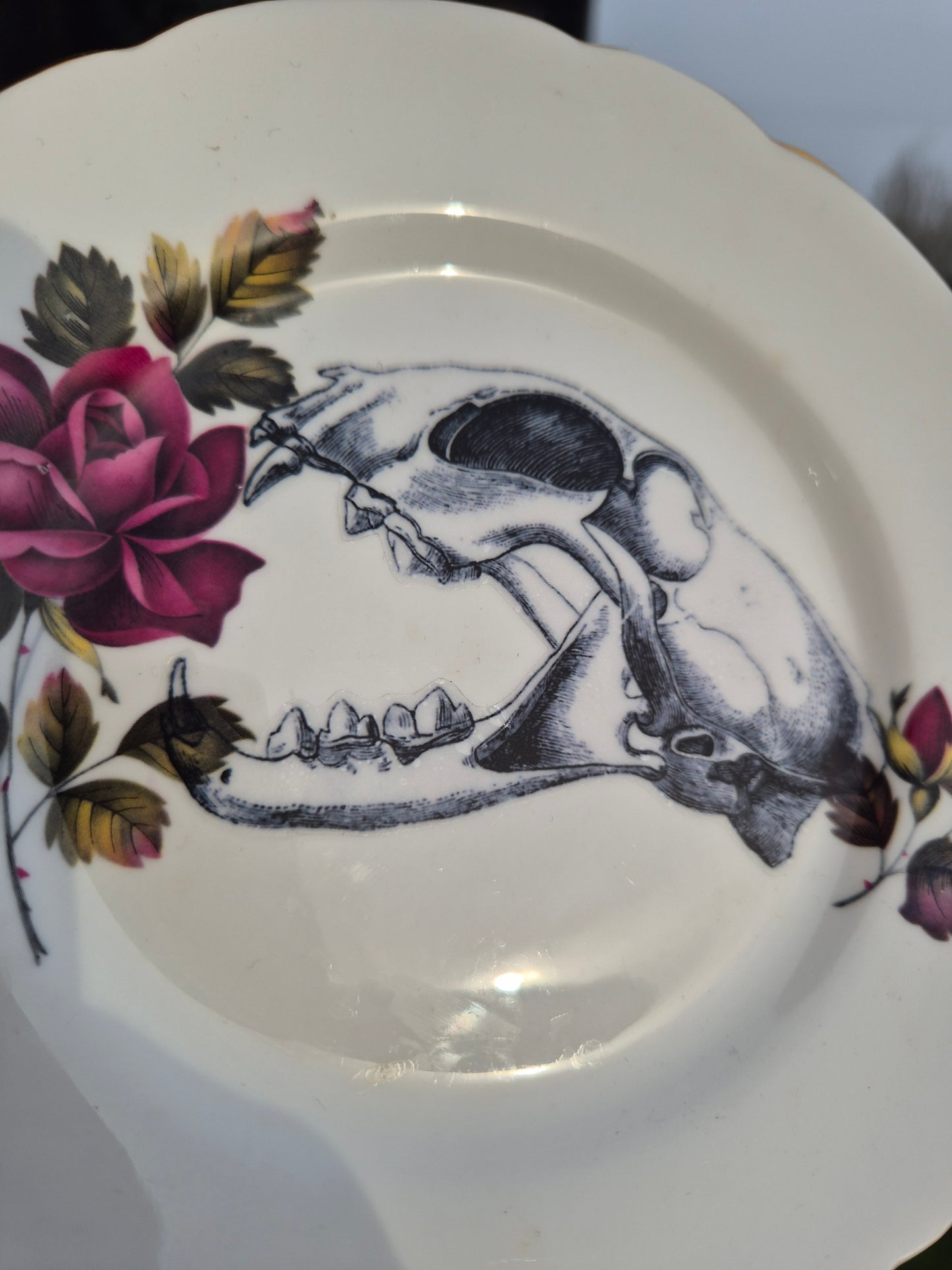 Skull plate