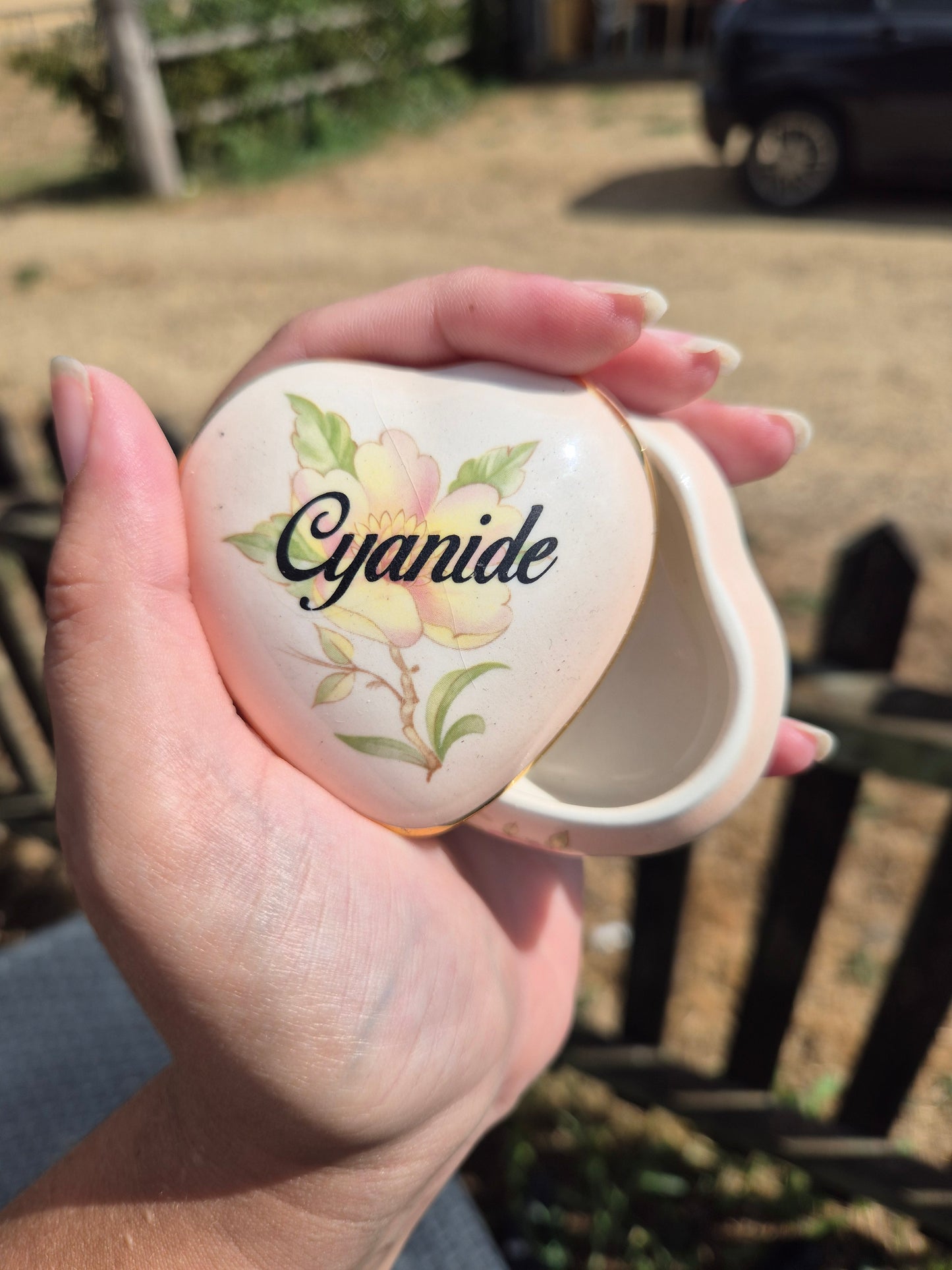 Cyanide trinket pot