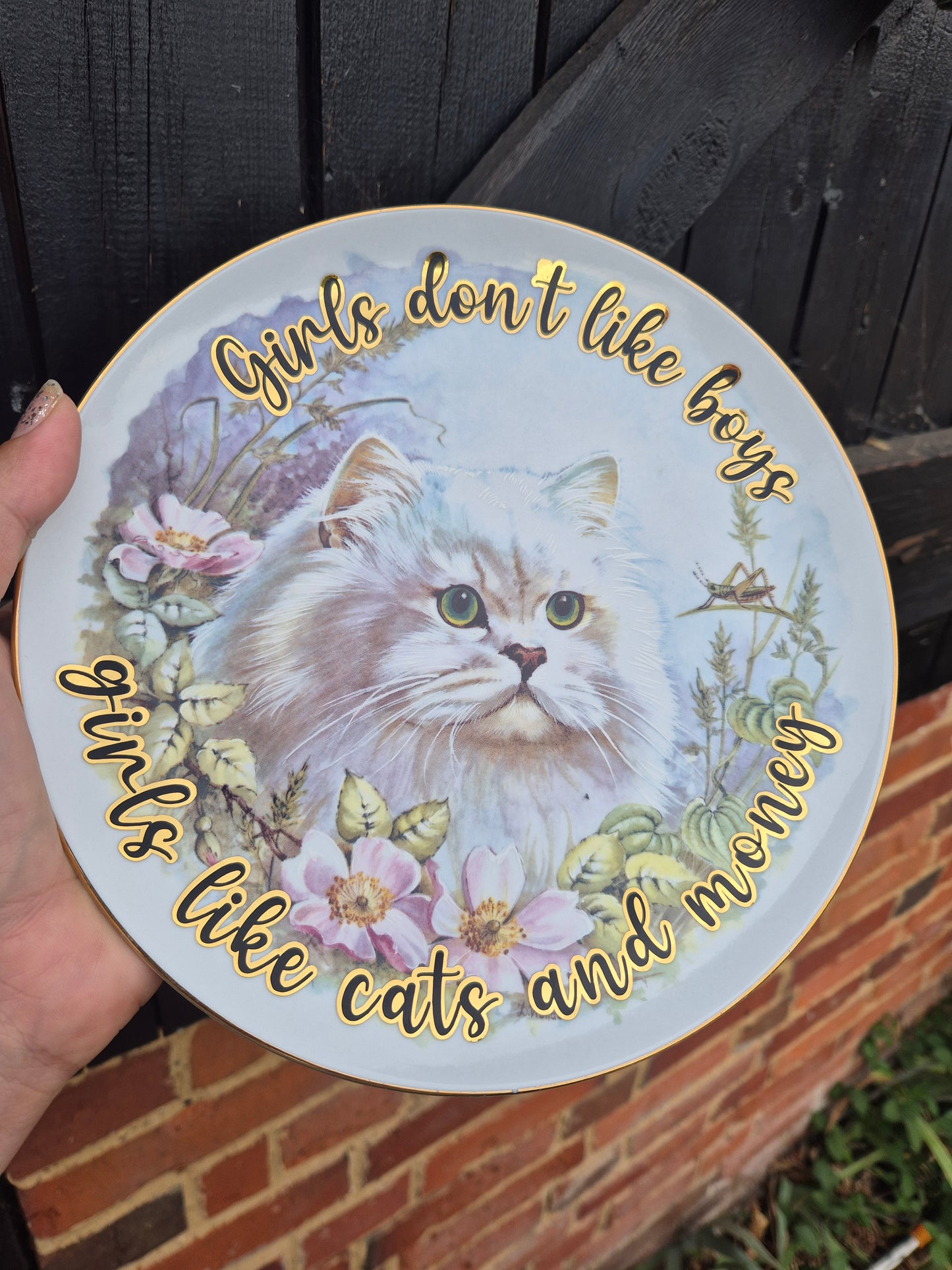 Girls like cats and money plate