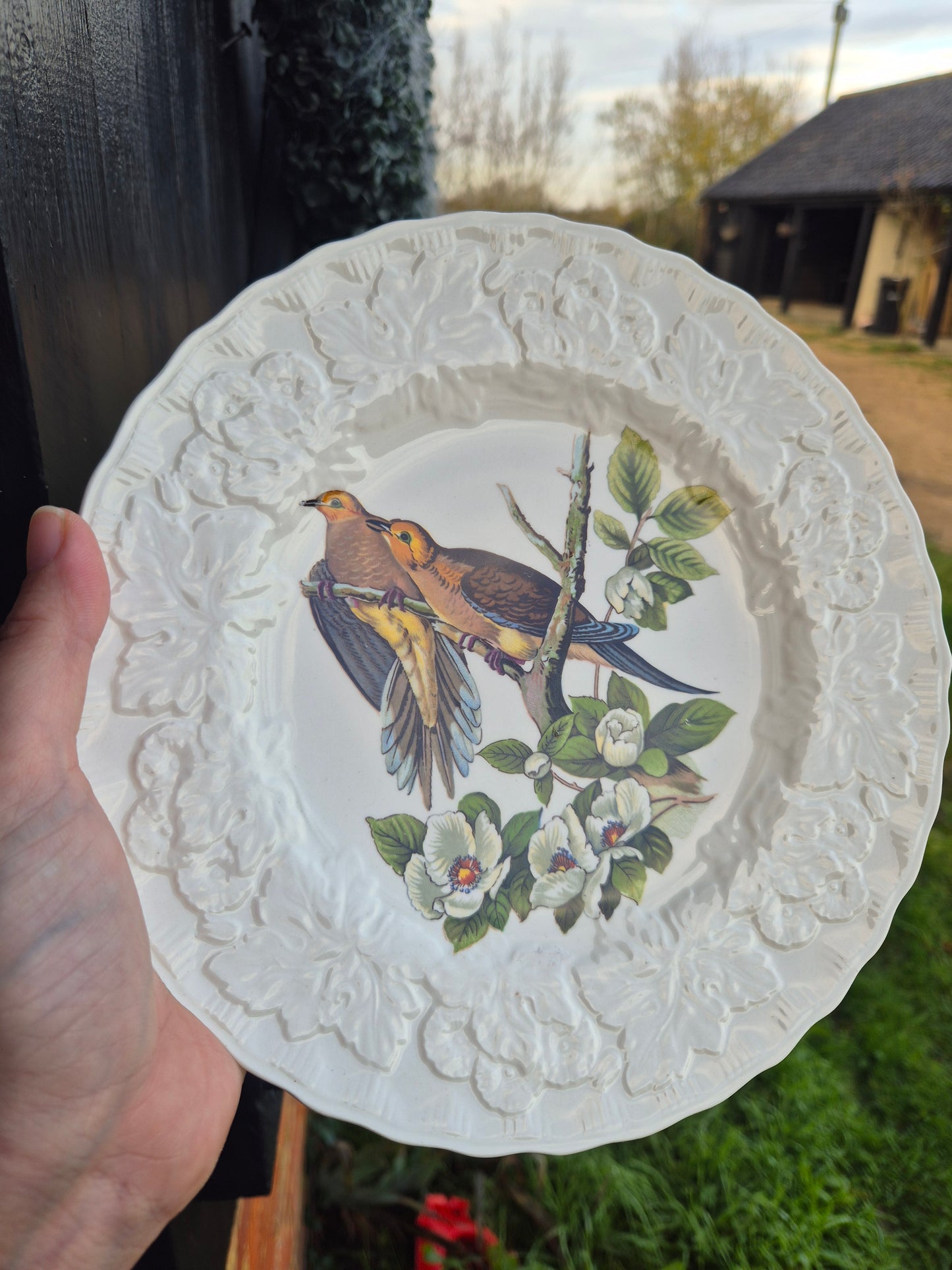 Large birds on branch plate