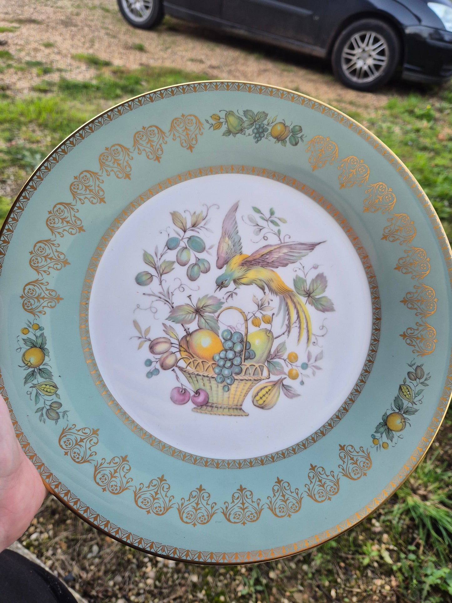 Blue and gold bird plate