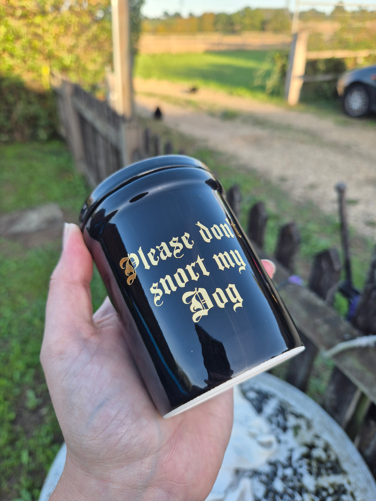 Please dont snort my dog black urn