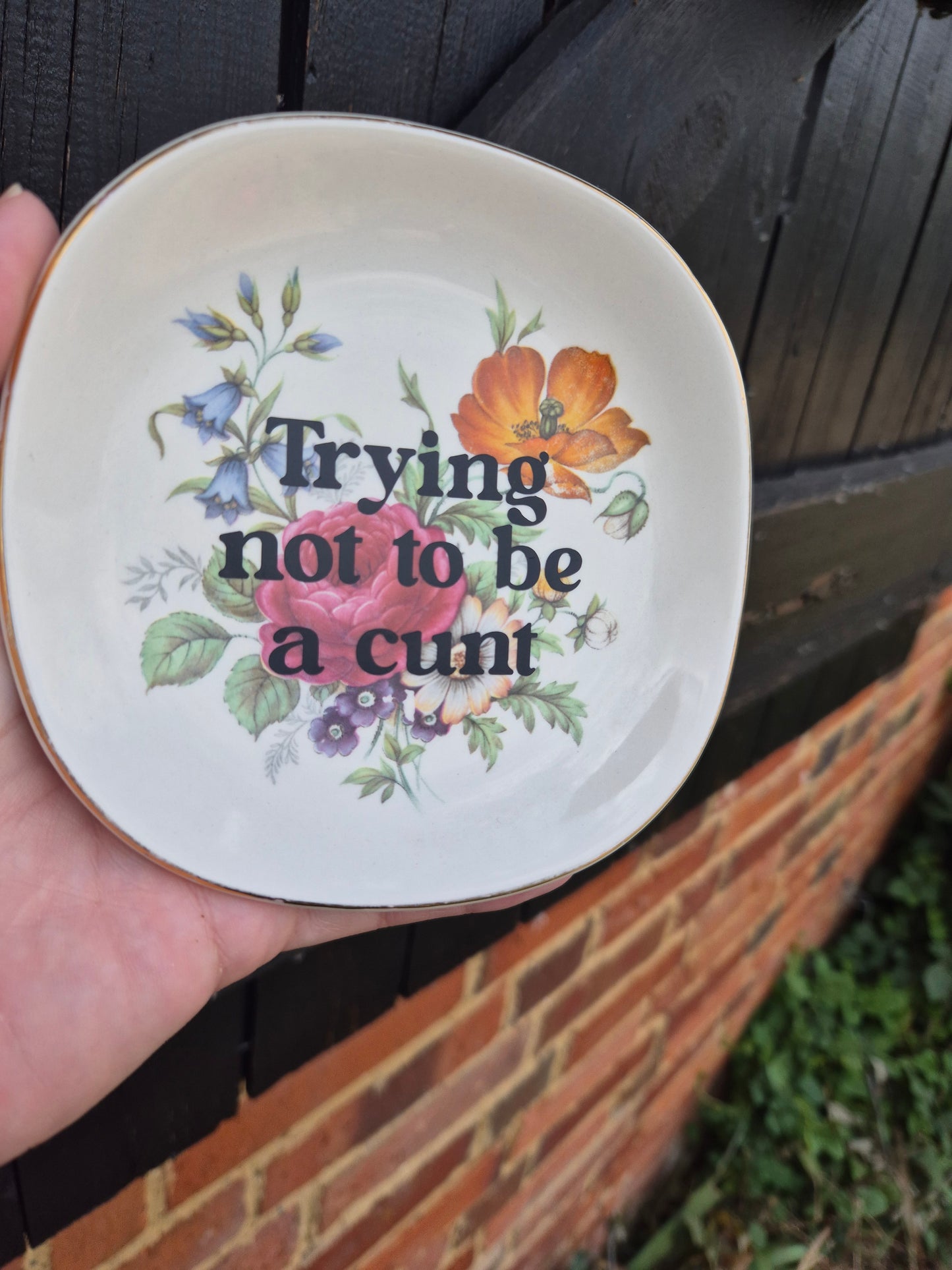 Trying not to be a cunt small dish