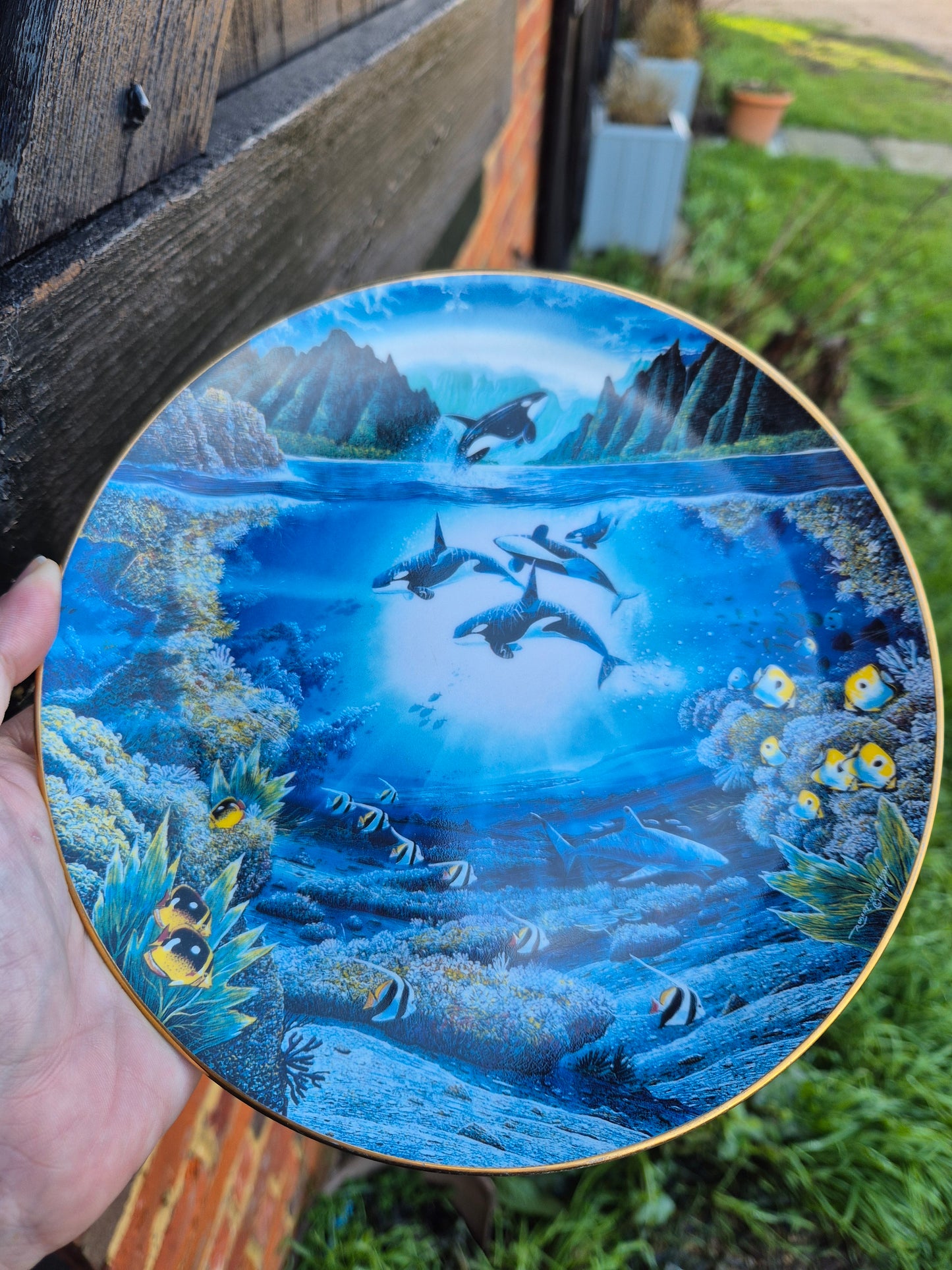 Orca plate