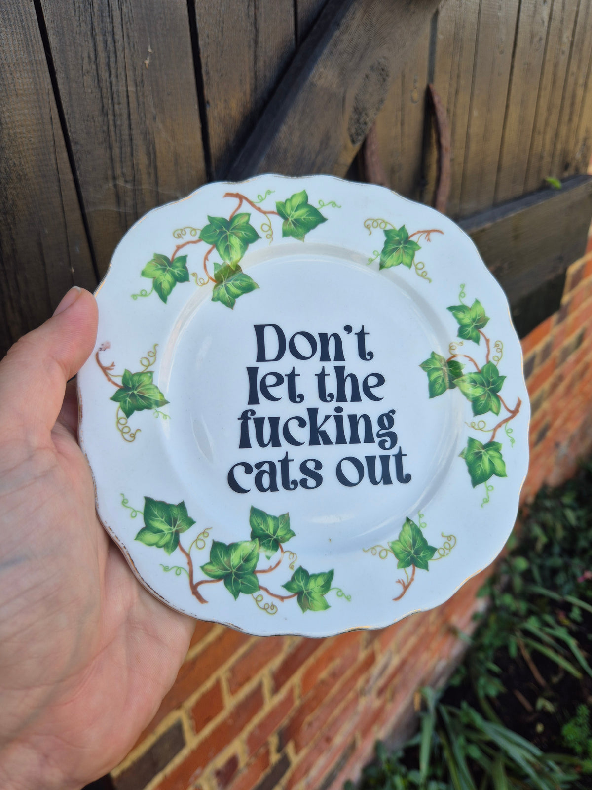 Dont let the fucking cats out side plate