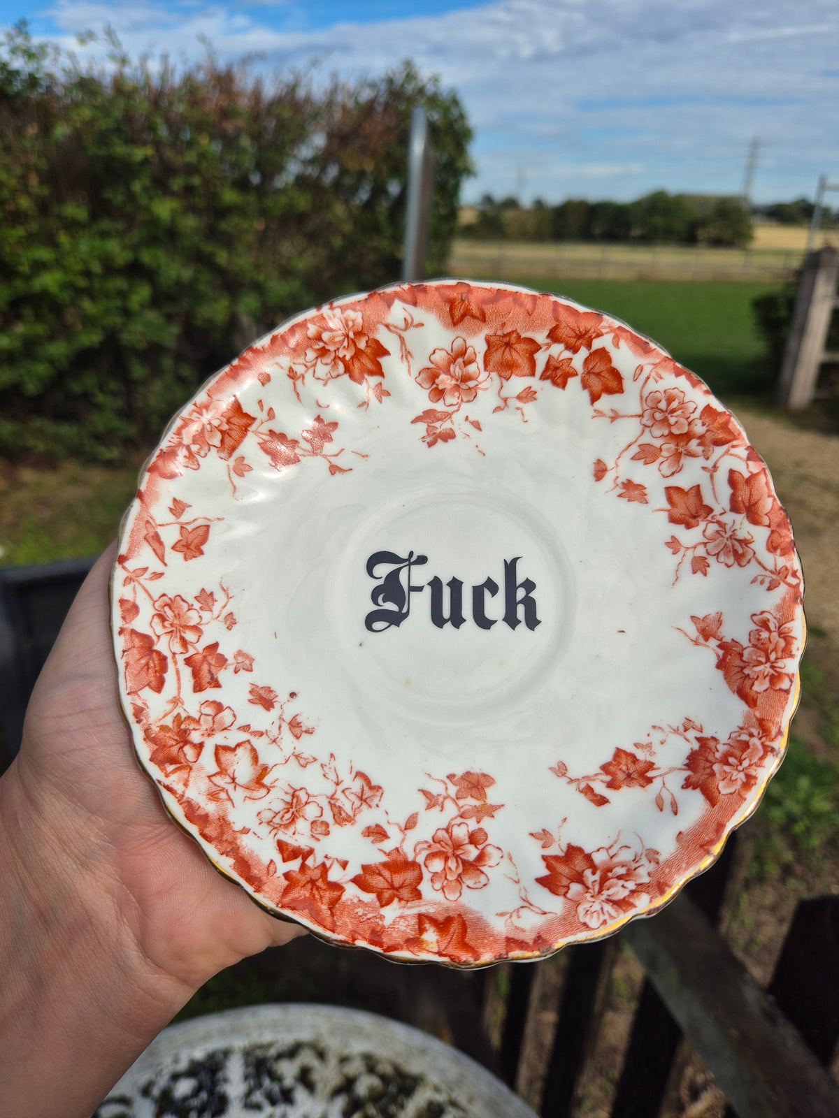Fuck vintage saucer