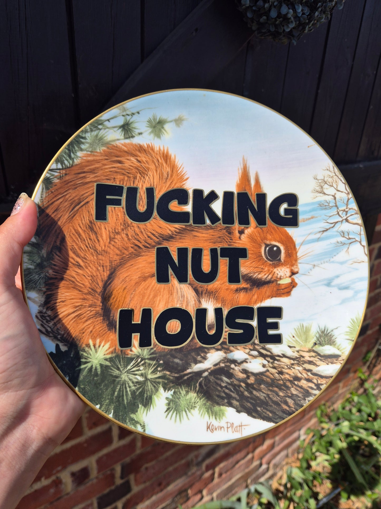 Fucking nut house squirrel plate