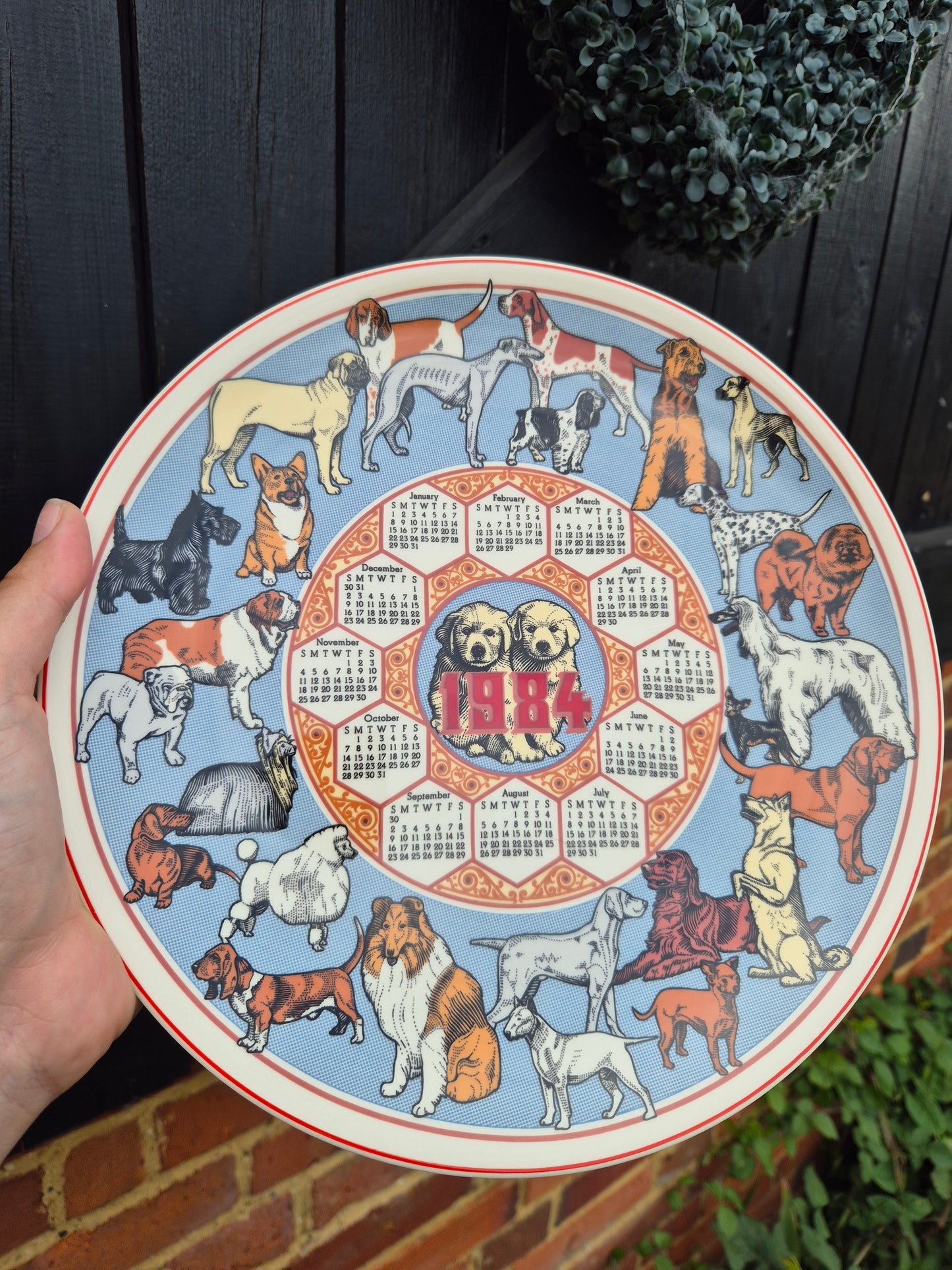 1984 calendar plate dogs