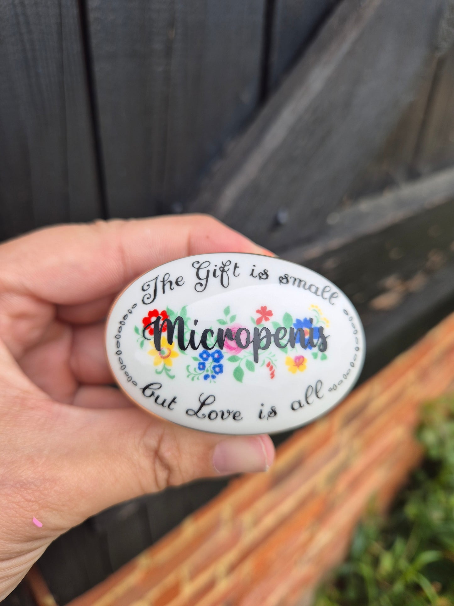 Micropenis small pill box