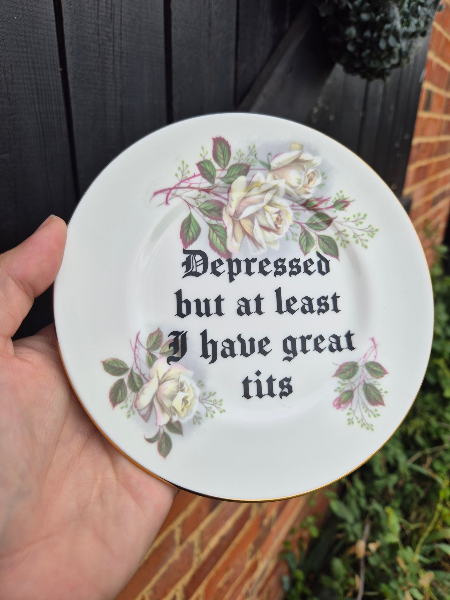 Depressed but at least I have great tits side plate