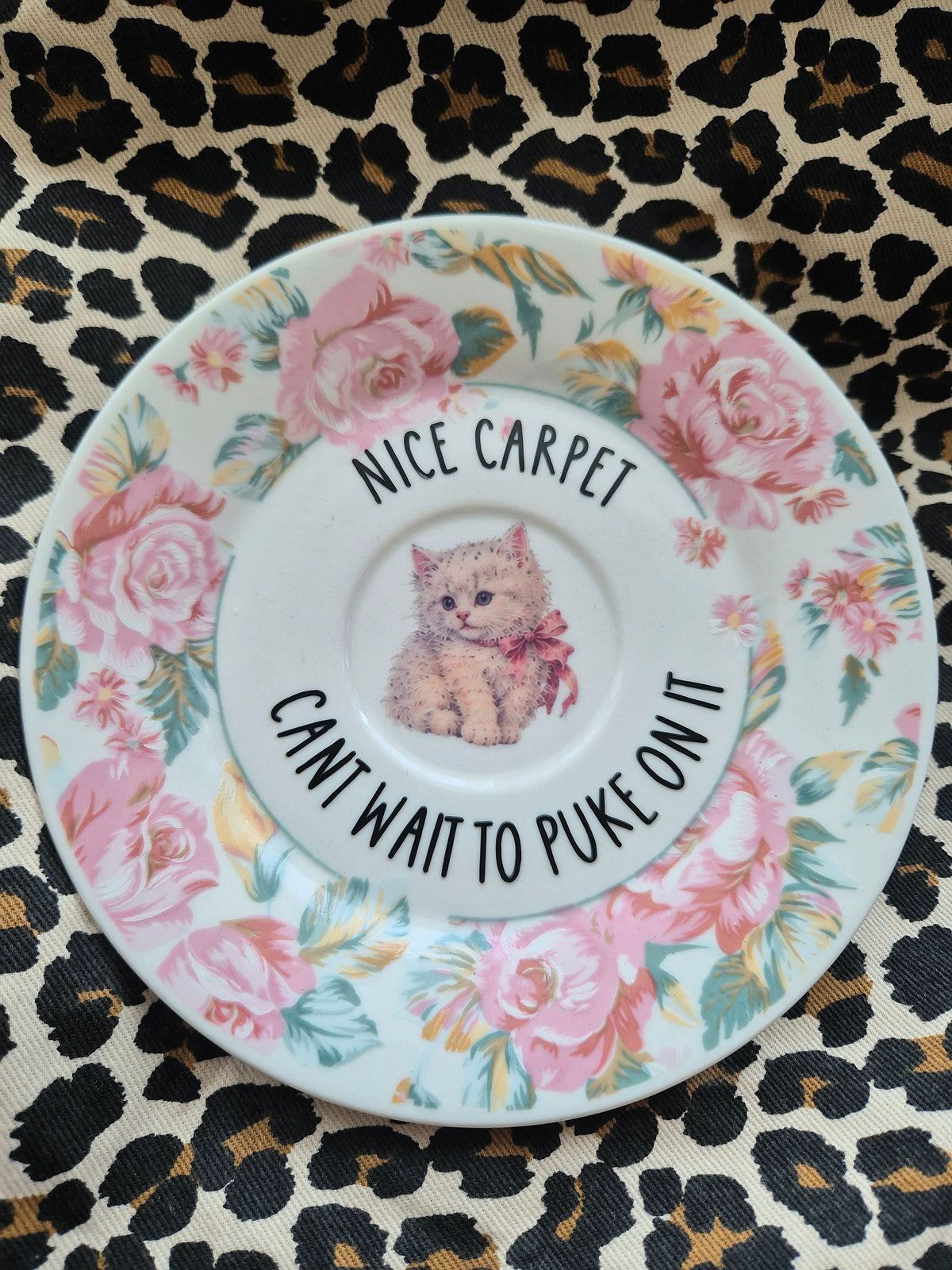 Nice carpet cant wait to puke on it saucer