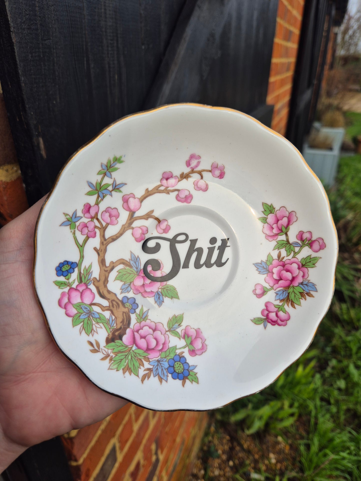 Shit saucer
