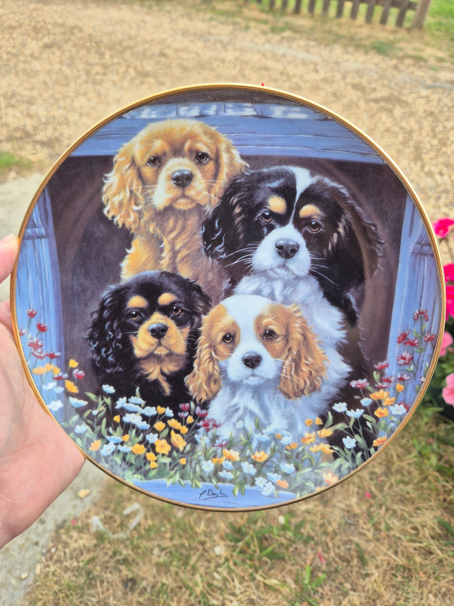 4 King Charles Cavalier Spaniels plate 2