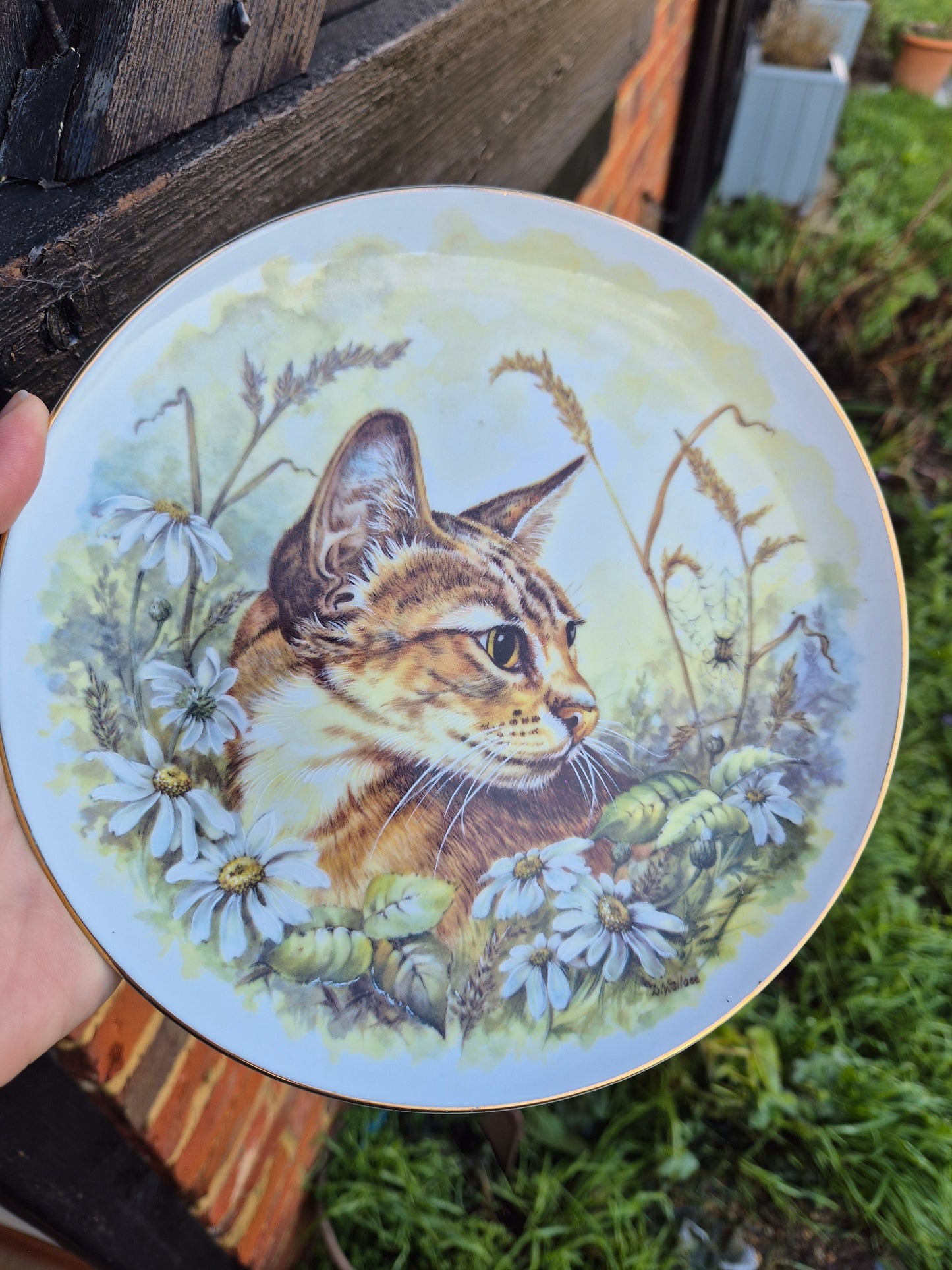 Tabby cat plate
