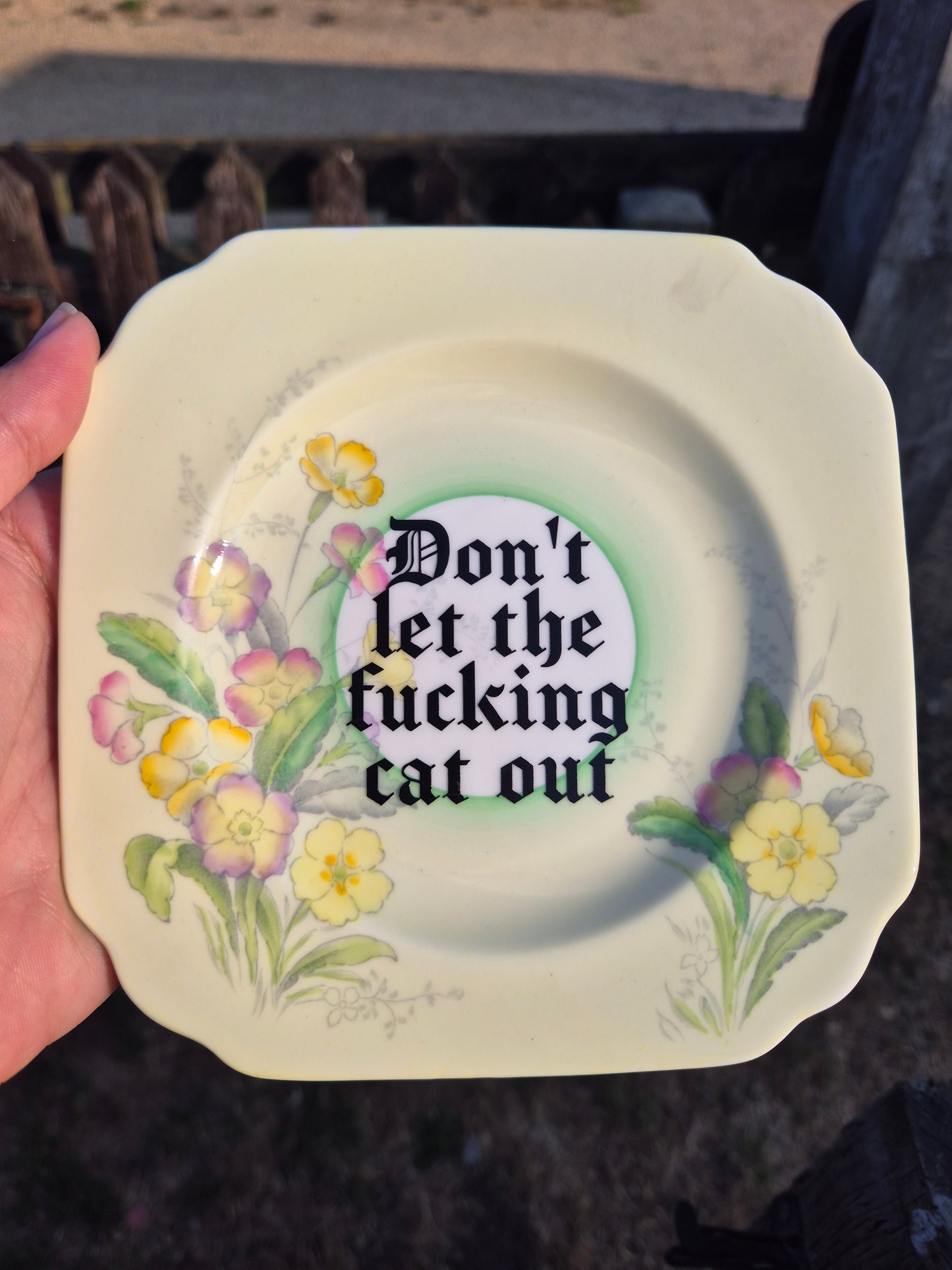 Dont let the fucking cat out side plate