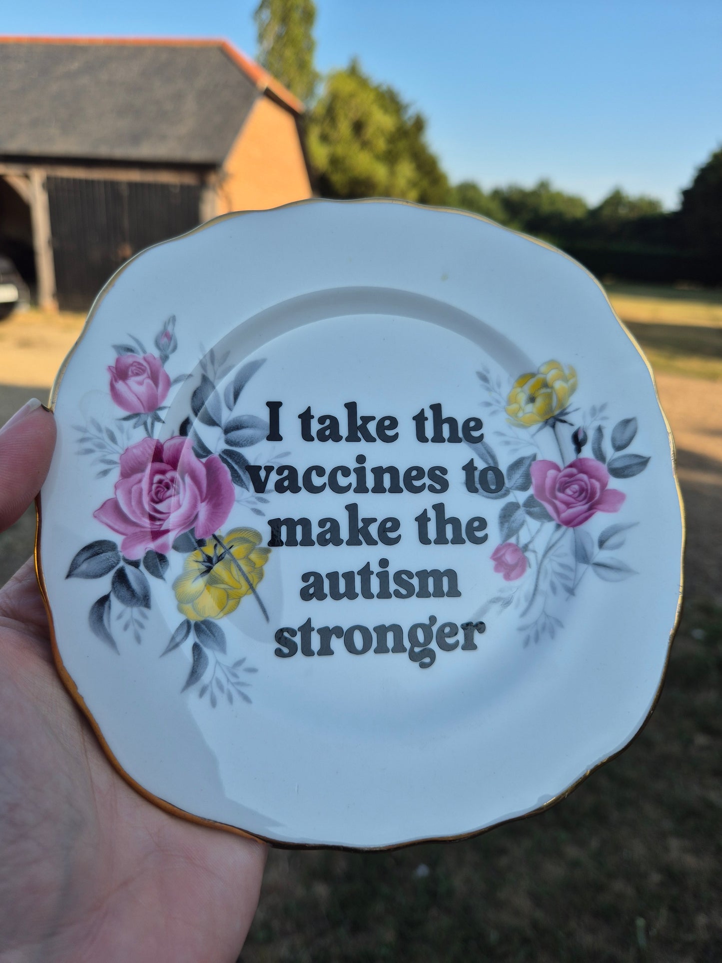 I take the vaccines to make the autism stronger side plate