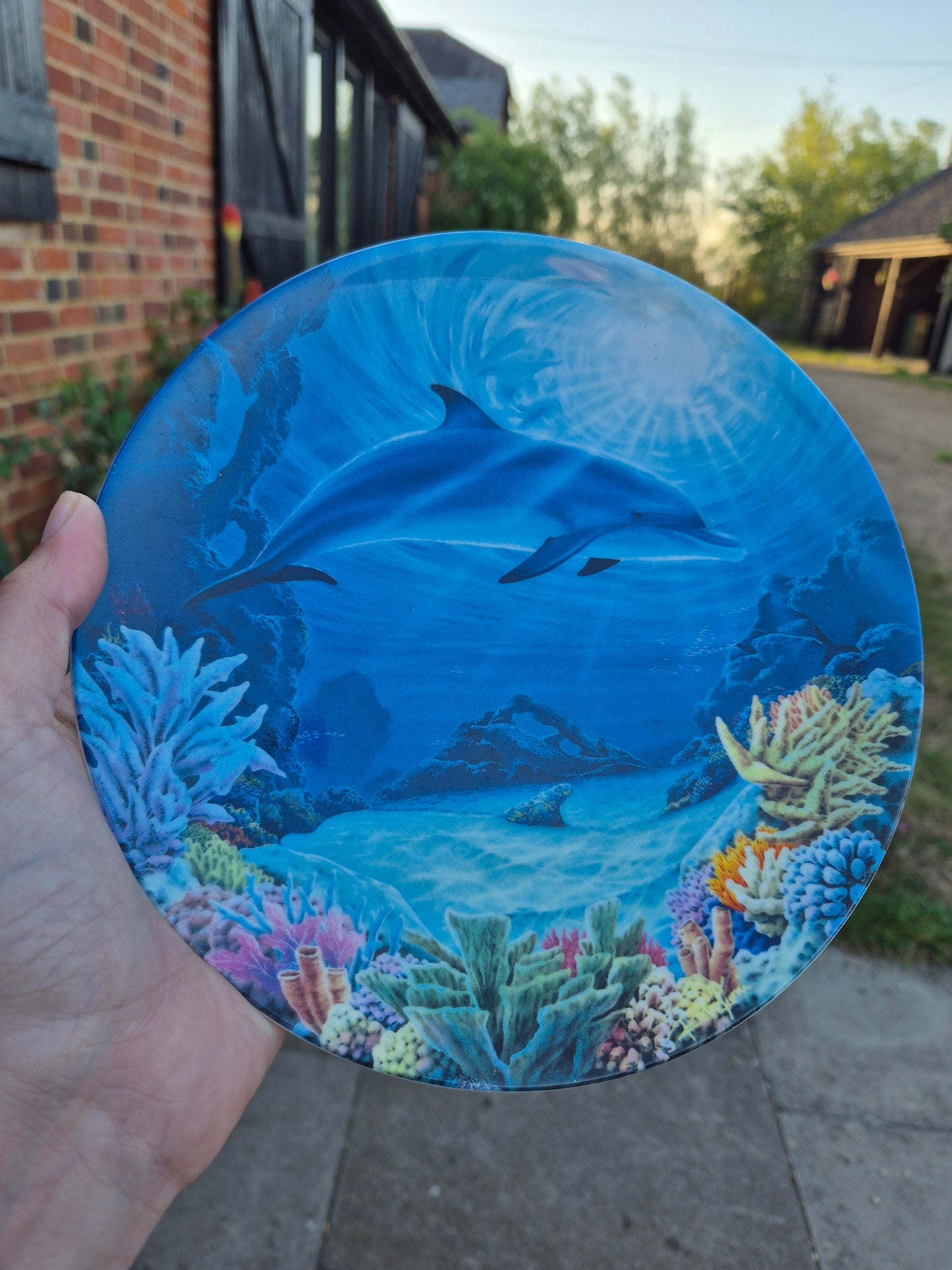 Dolphin plate