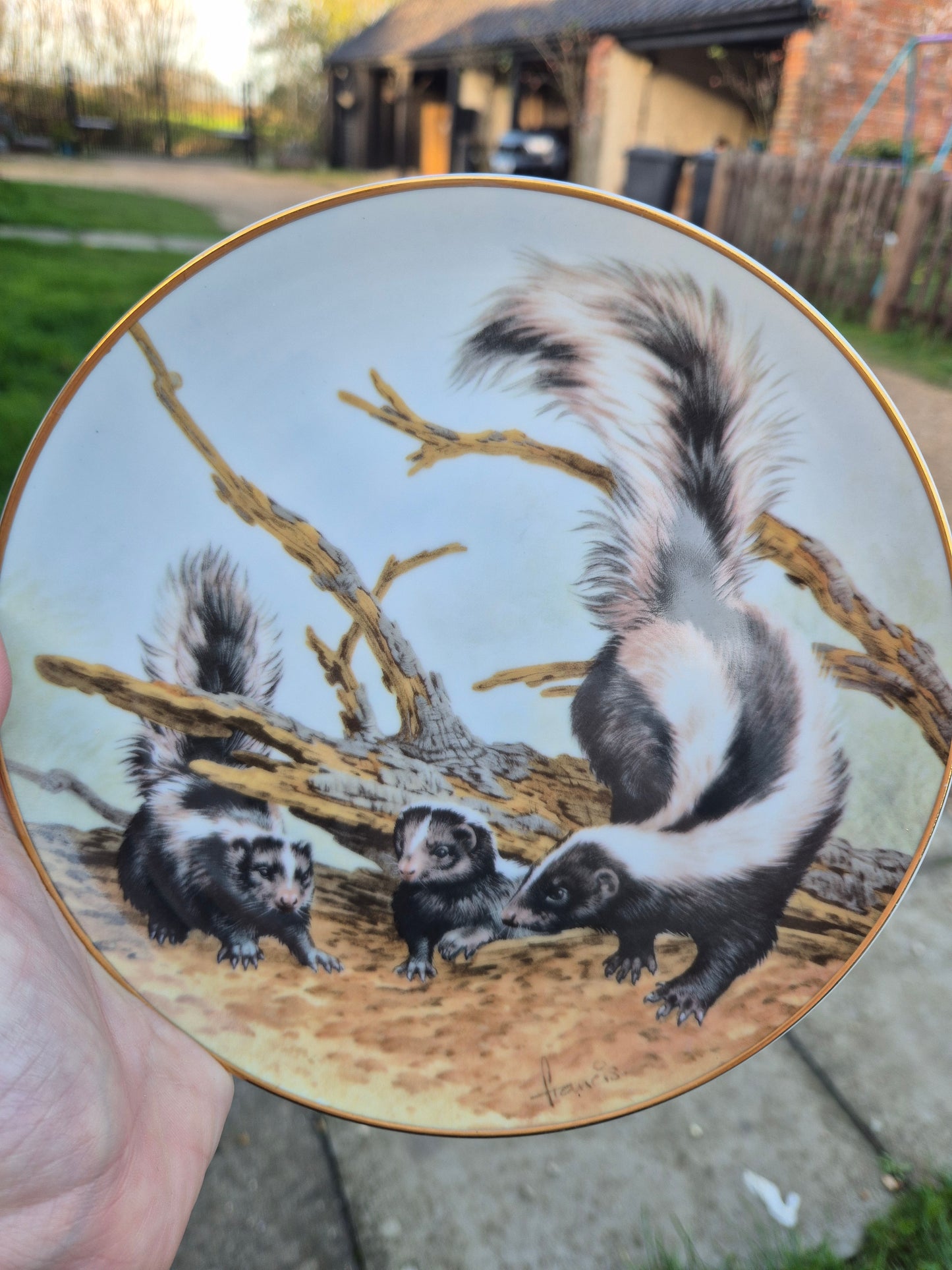 Skunk plate