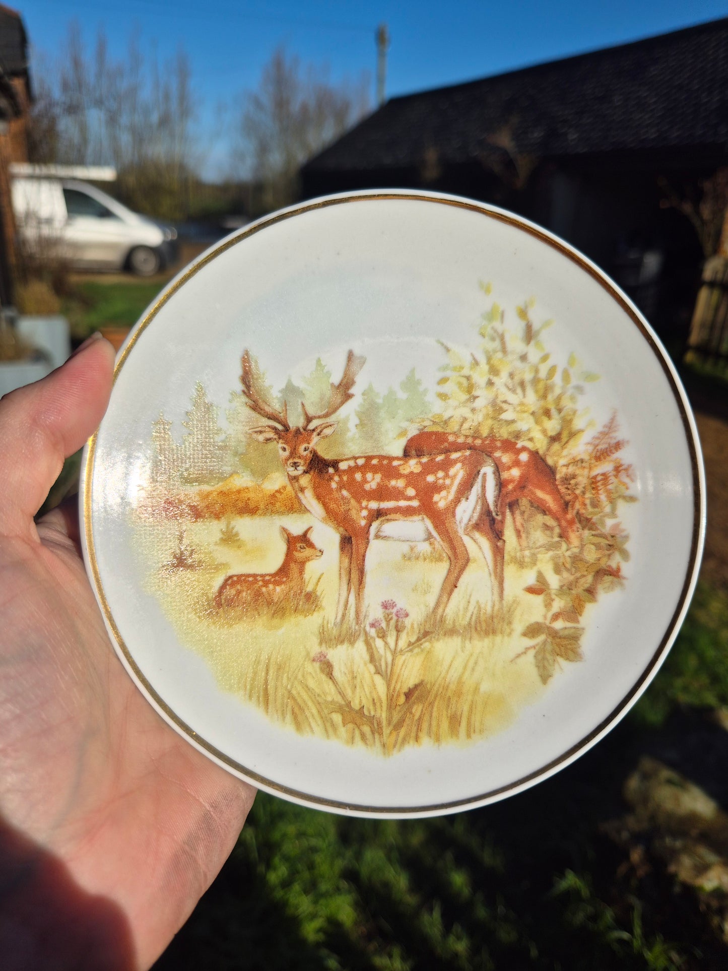 Small deer plate