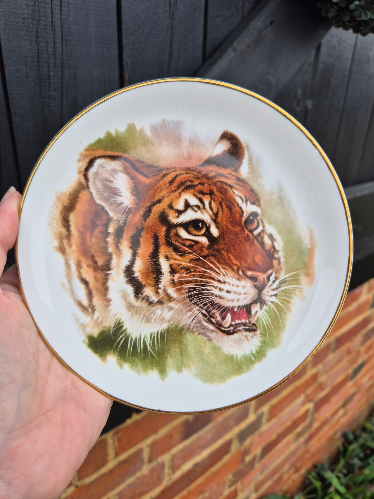 Small tiger plate