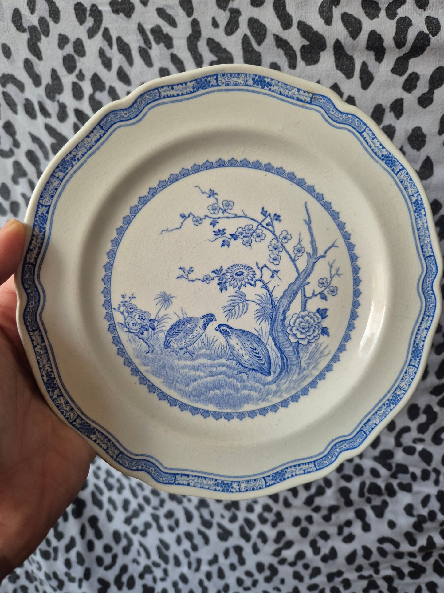 Small Blue and white birds plate