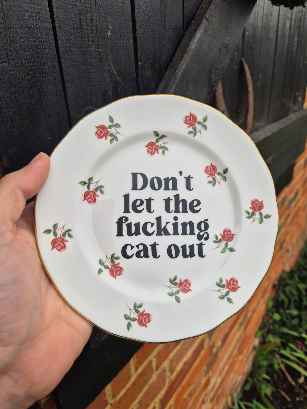 Dont let the fucking cat out side plate