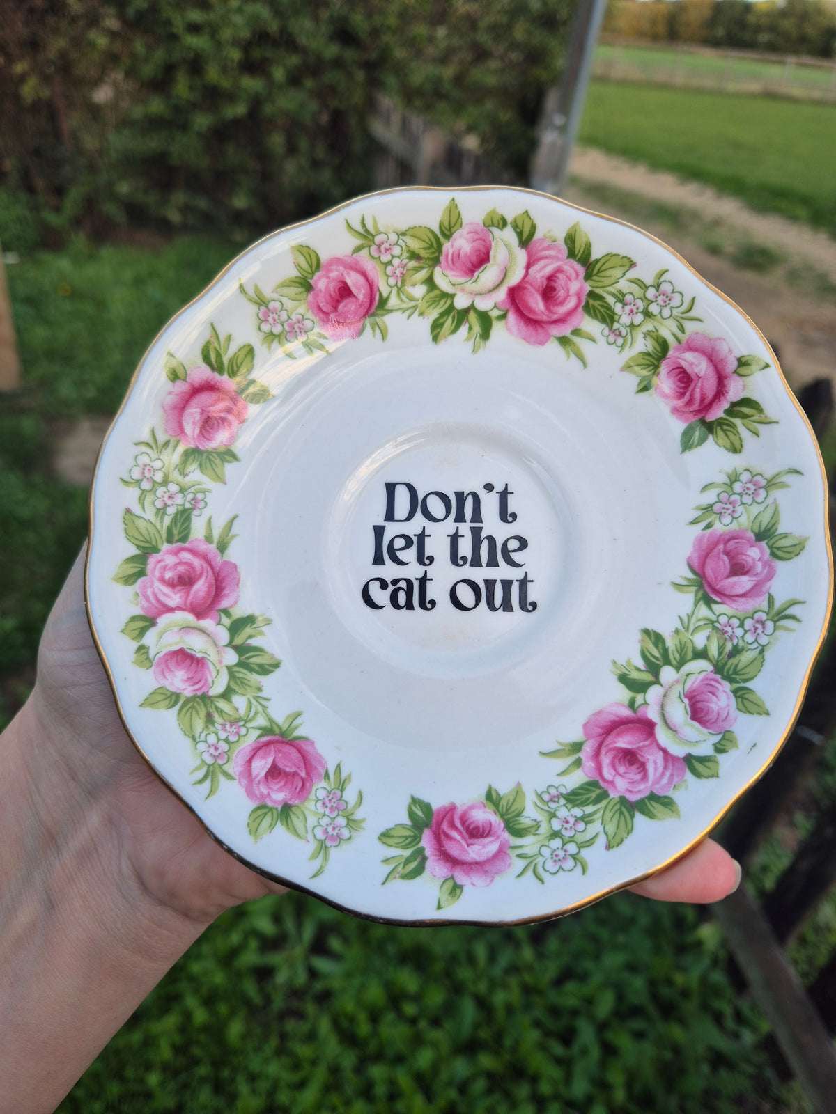 Dont let the cat out saucer