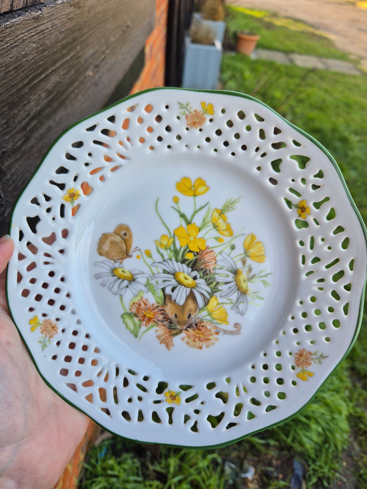 Mouse lace lattice plate