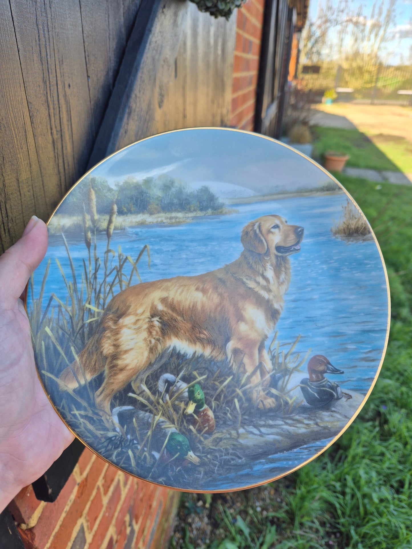 Golden retriever and ducks plate