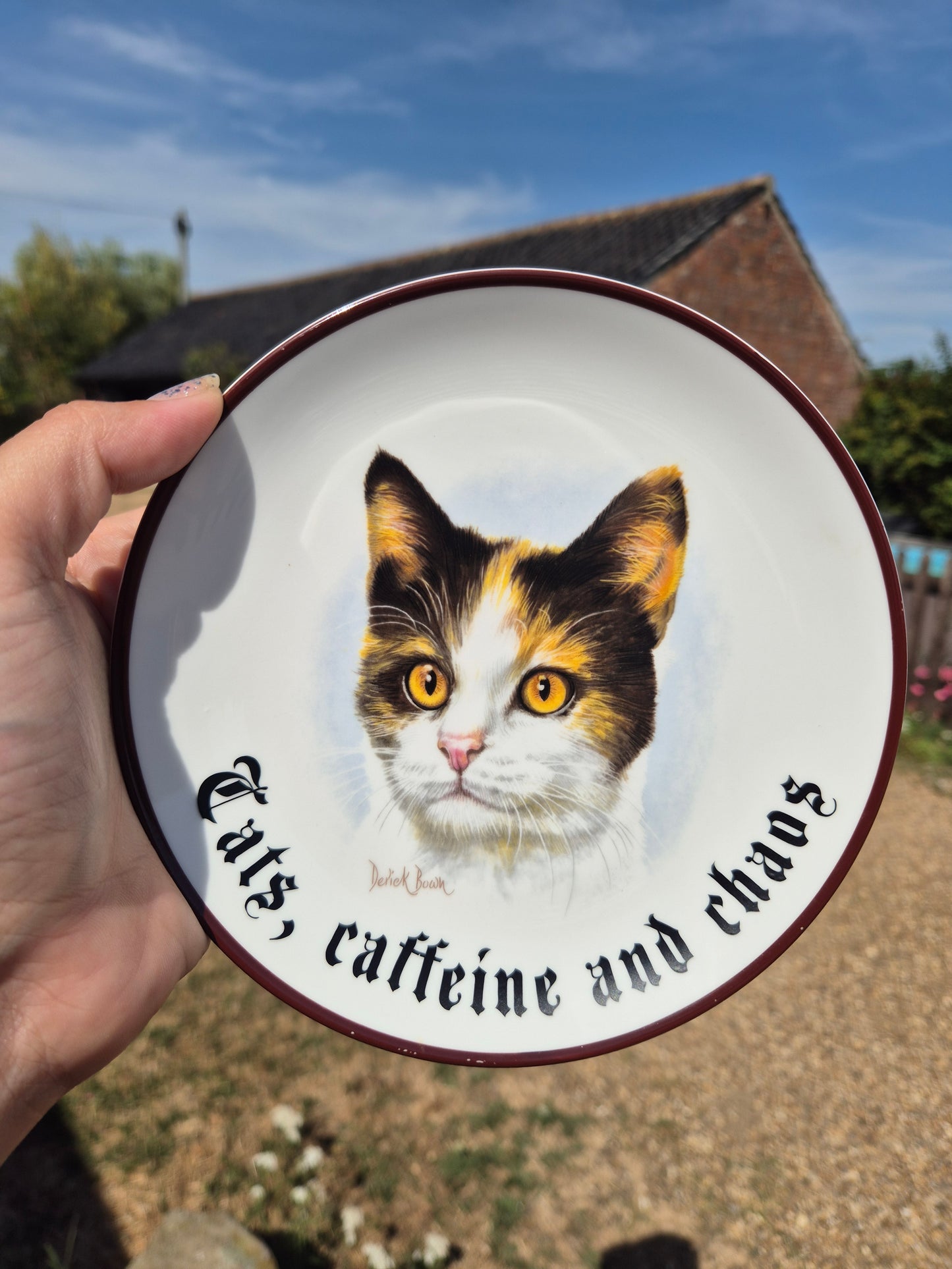 Cats, caffeine and chaos plate