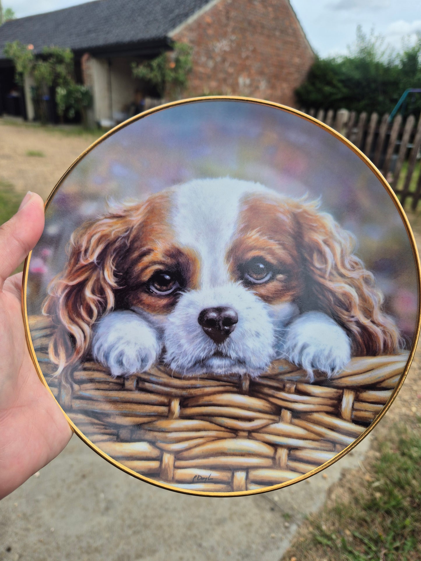 King Charles Cavalier Spaniel plate