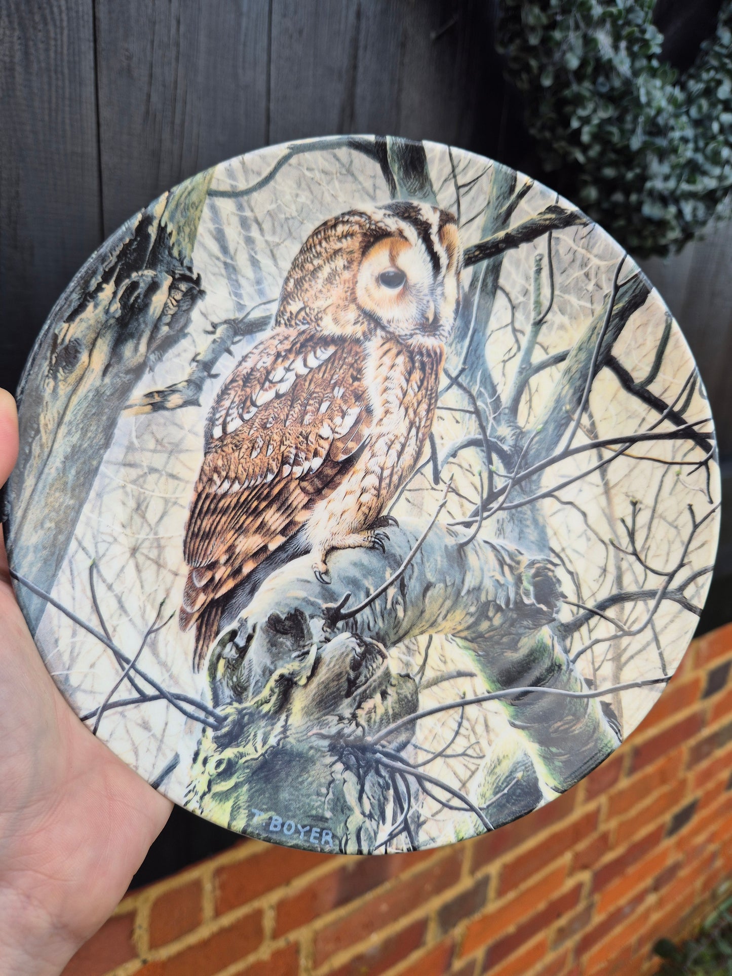 Owl plate 2