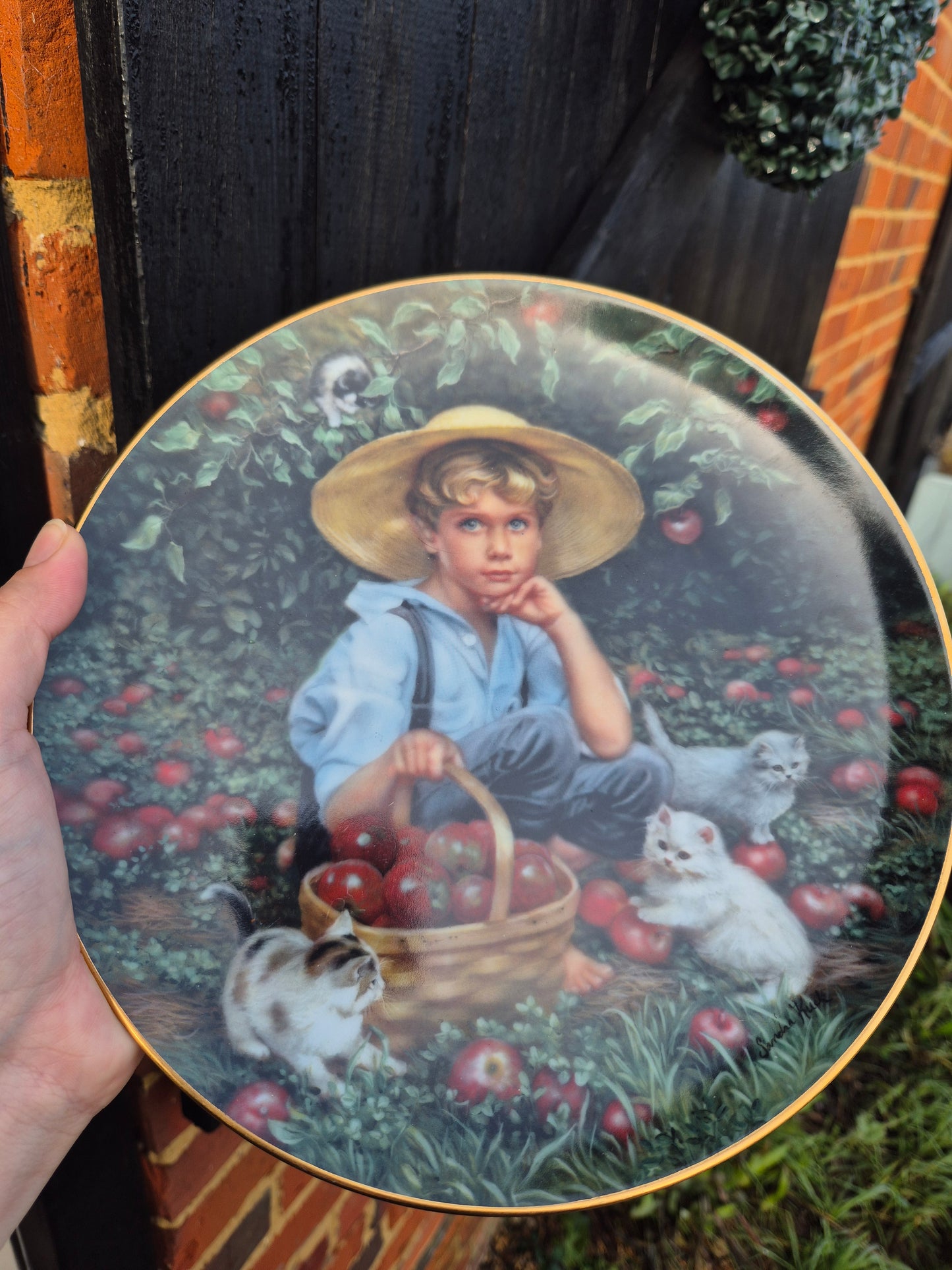 Boy in orchard plate