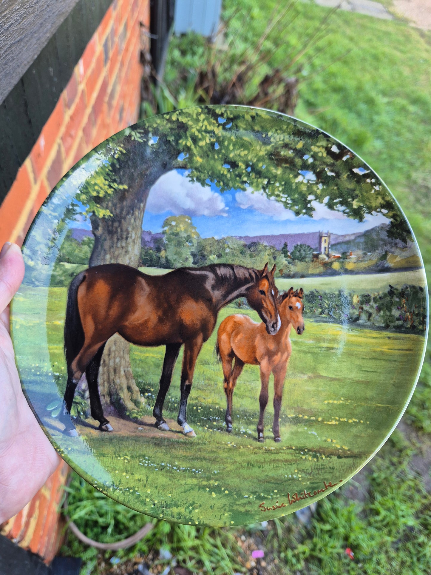 Horse and foal plate