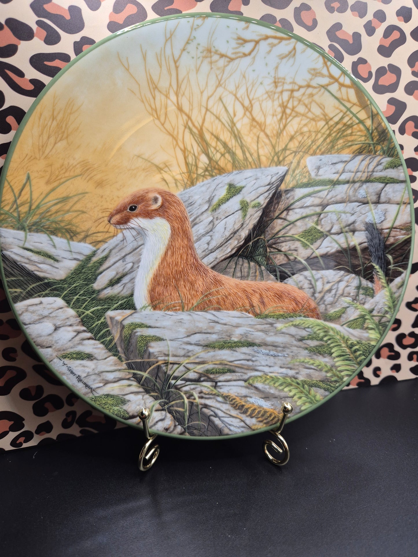 Stoat plate