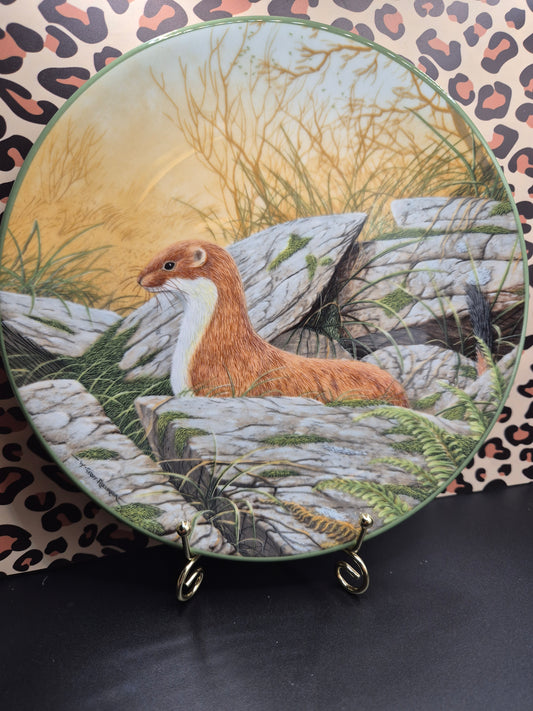 Stoat plate