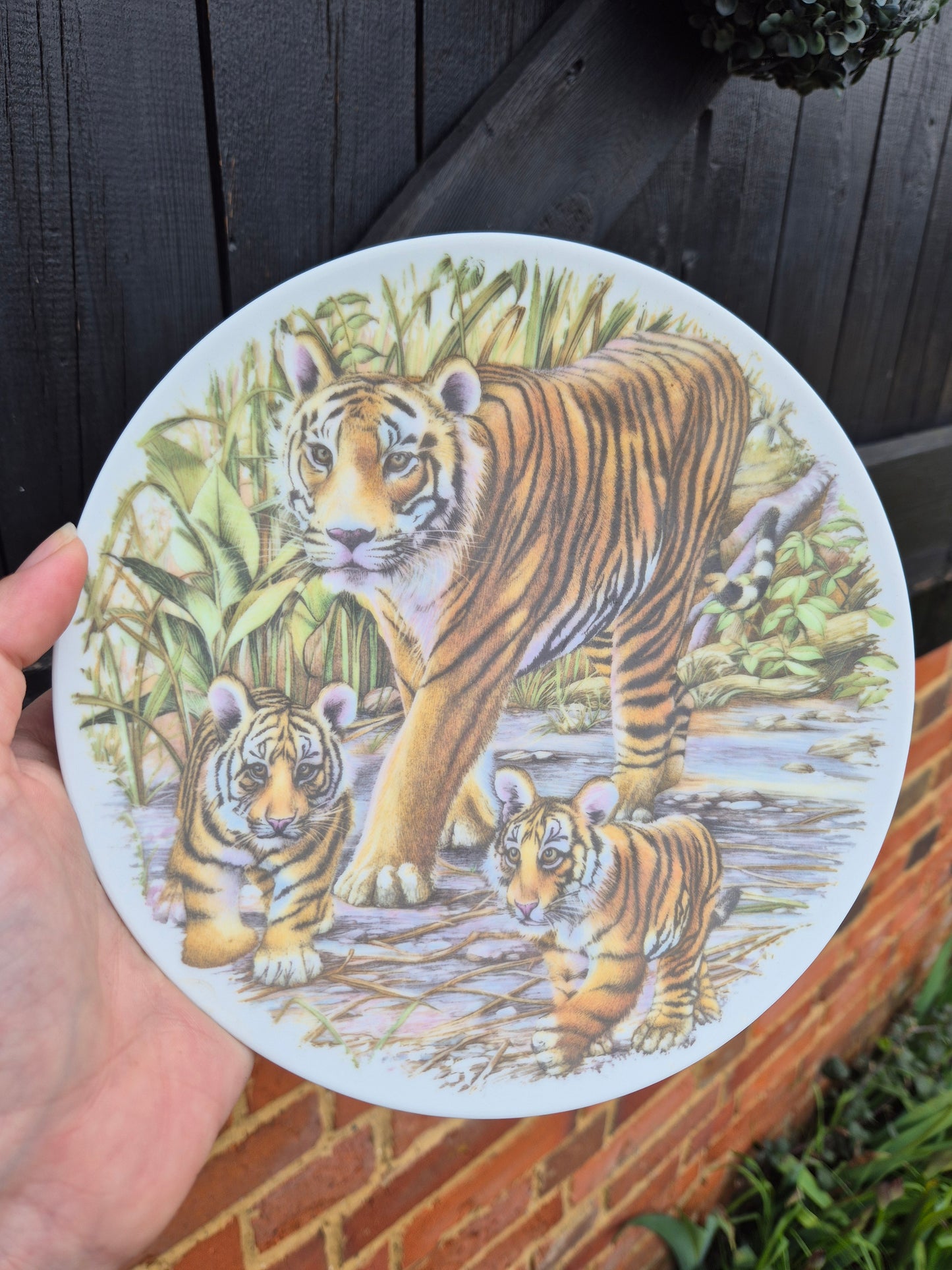 Tiger and cubs plate