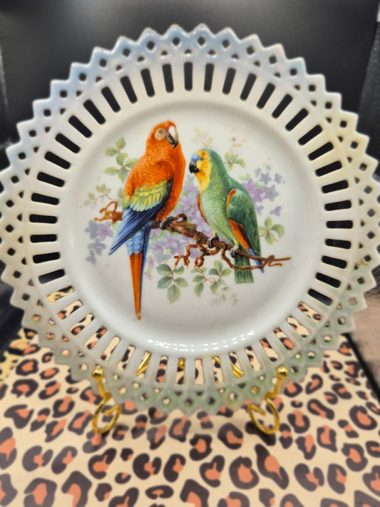 Parrots plate