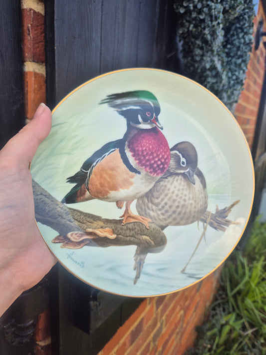 Ducks plate