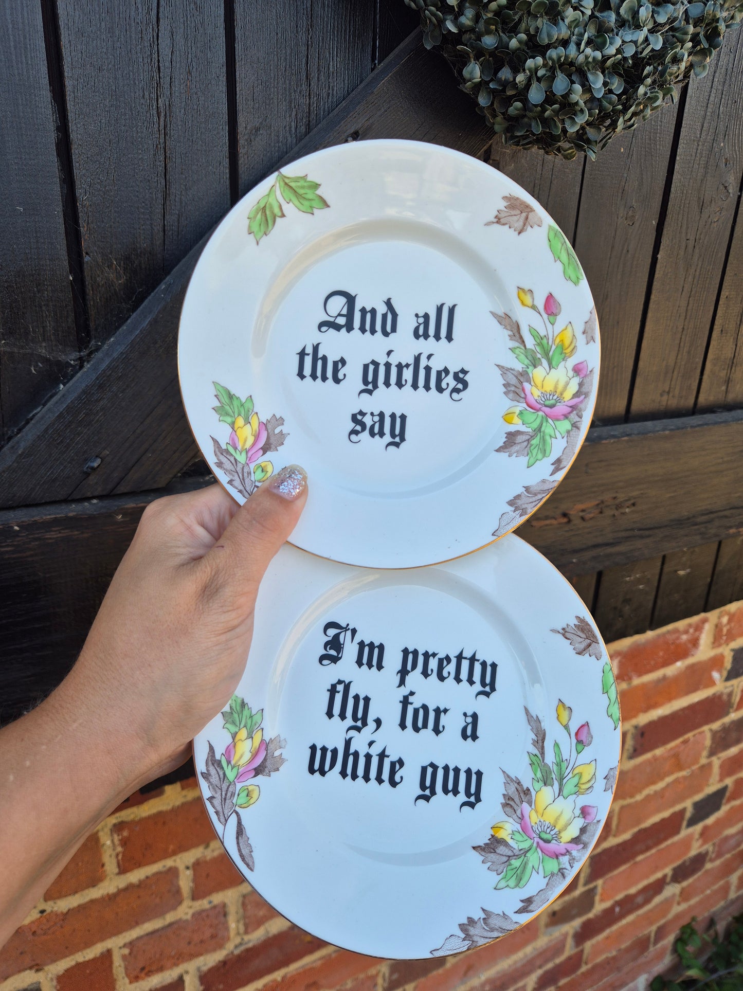 Pretty fly for a white guy lyrics side plate pair