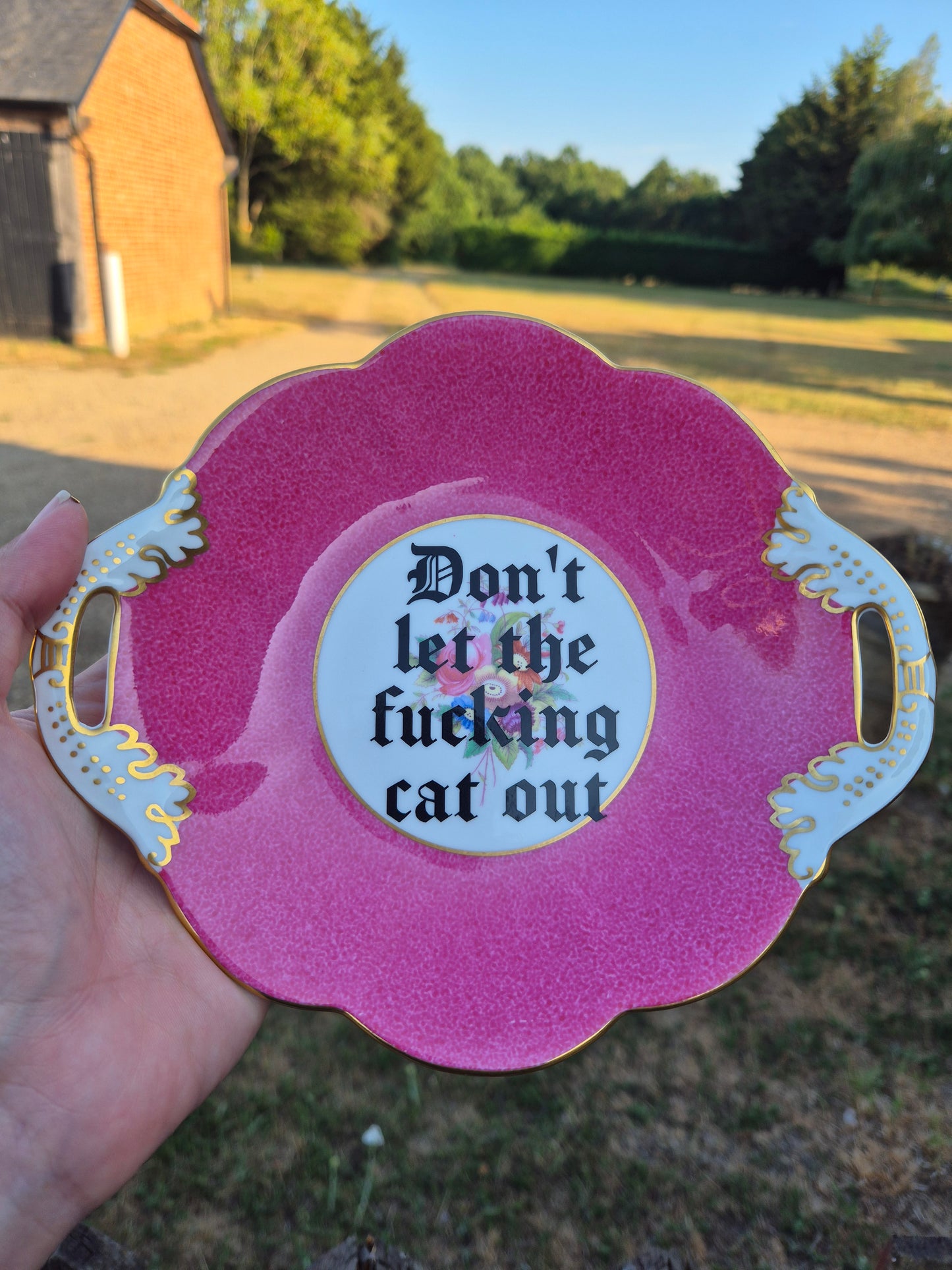 Dont let the fucking cat out fancy dish