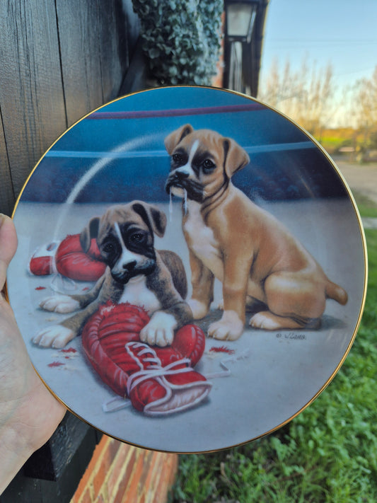 Boxer puppies plate