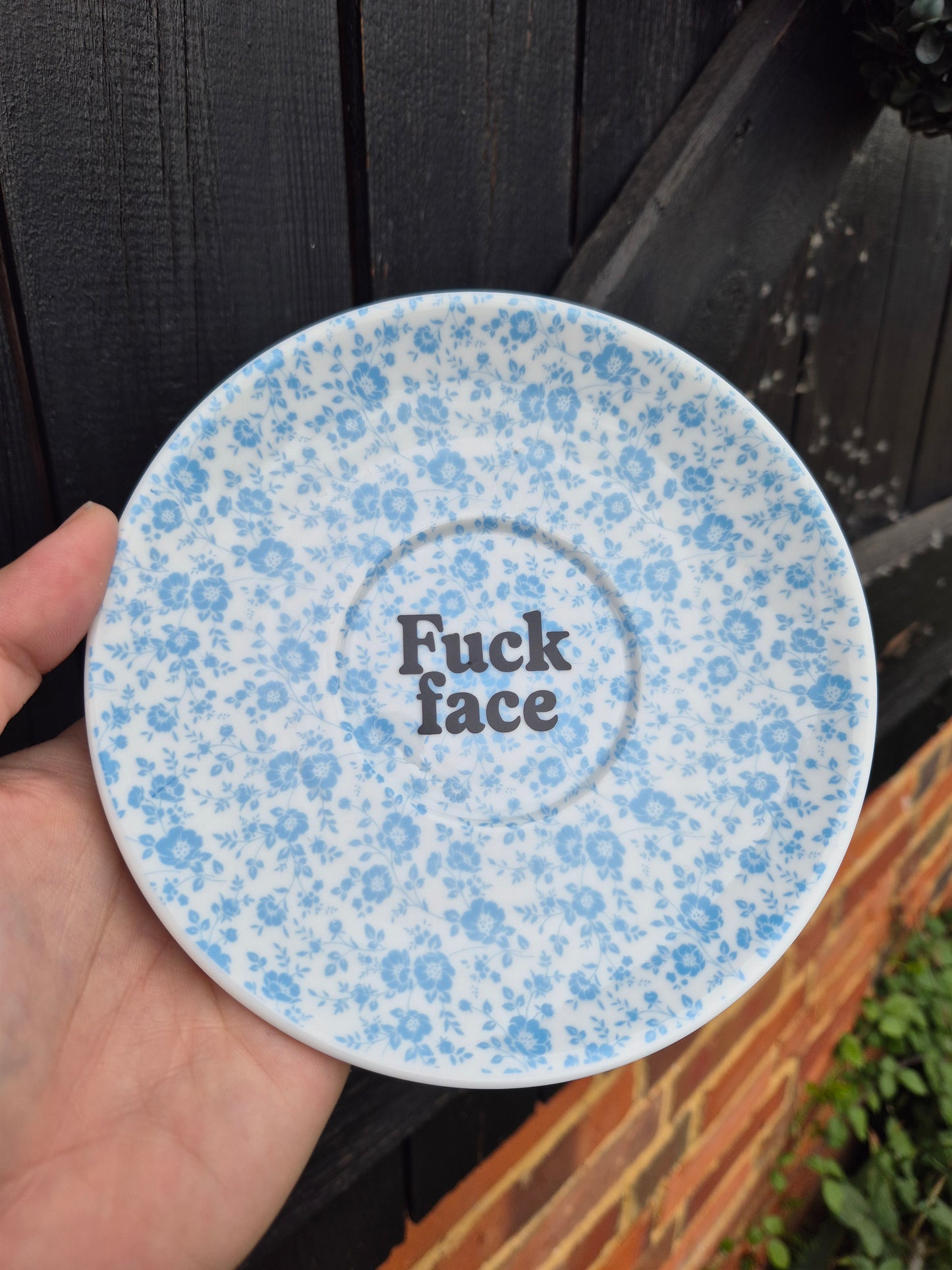 Fuck face saucer