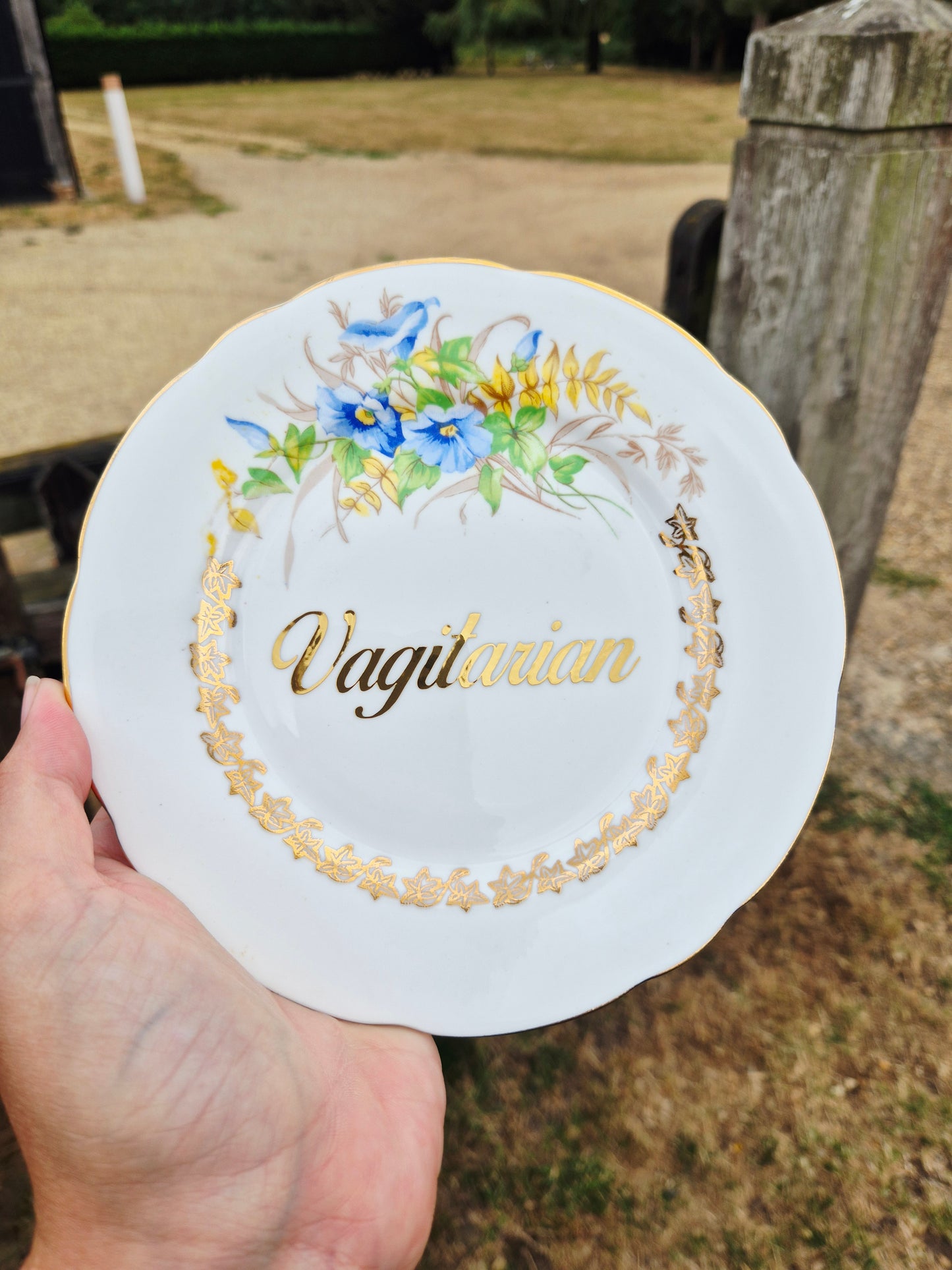 Vagitarian side plate