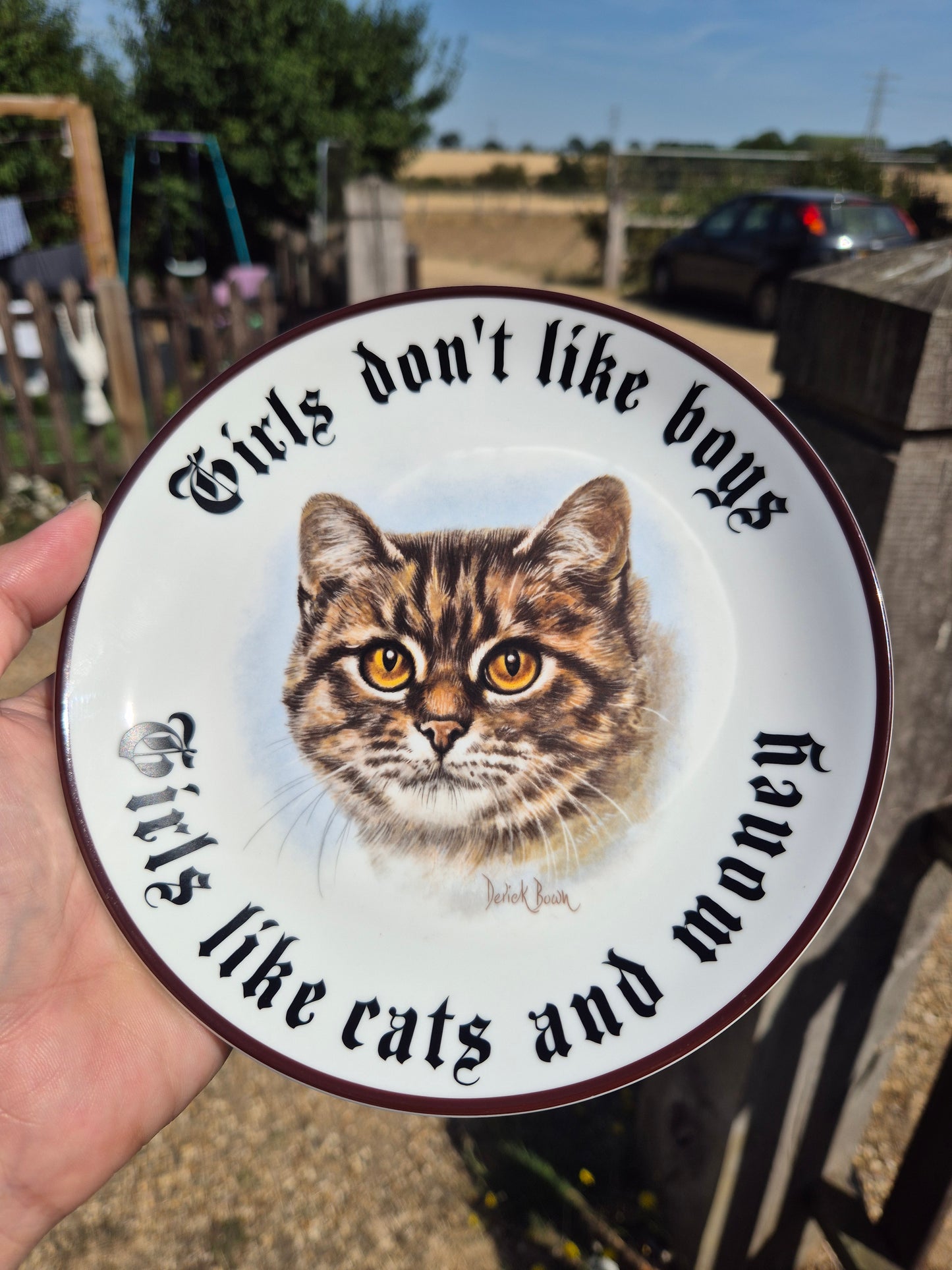 Girls dont like boys, girls like cats and money plate