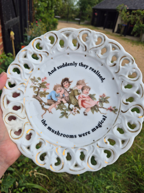And suddenly they realised, the mushrooms were magical plate