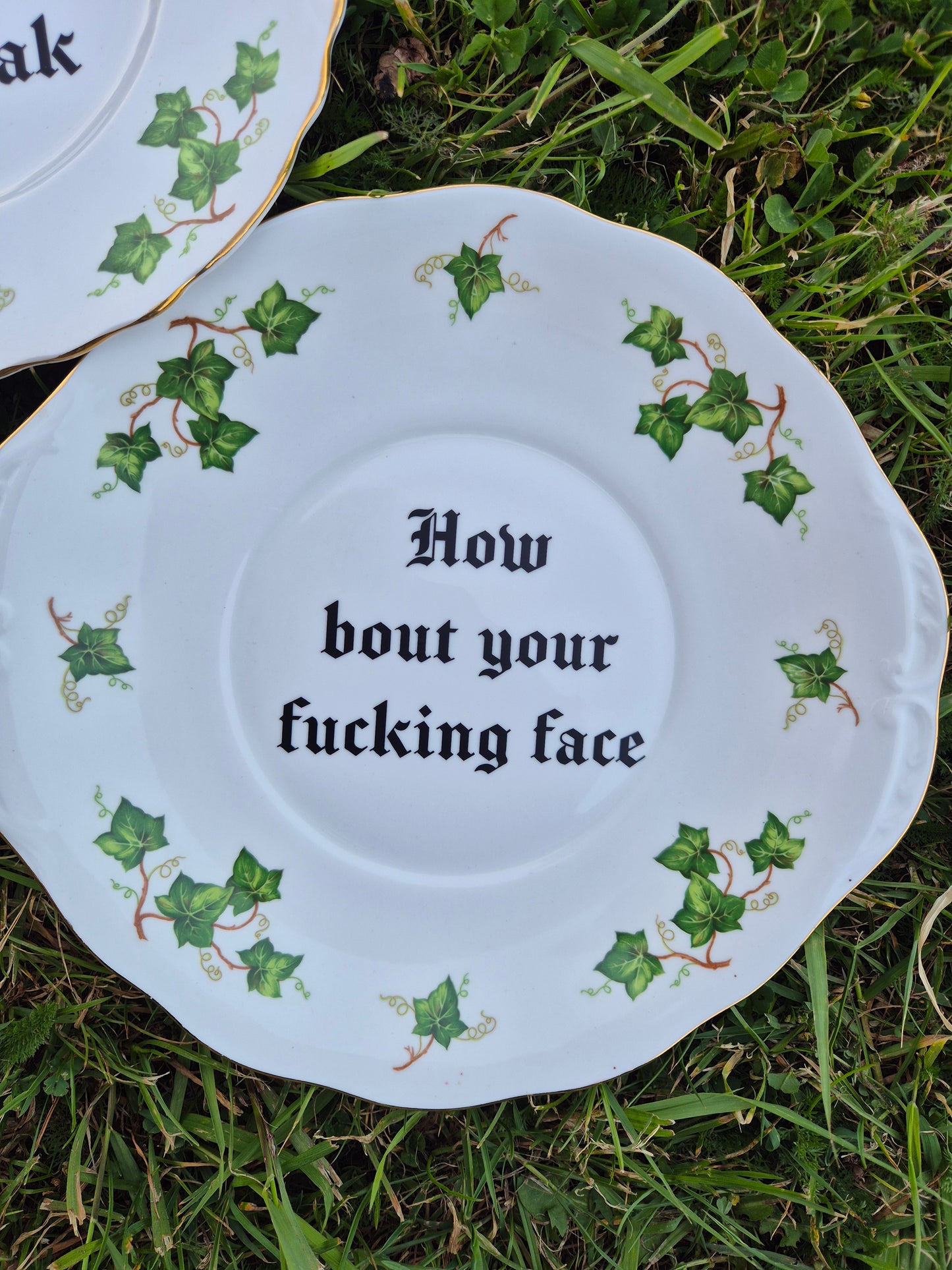 Limp Bizkit pair large ivy plates